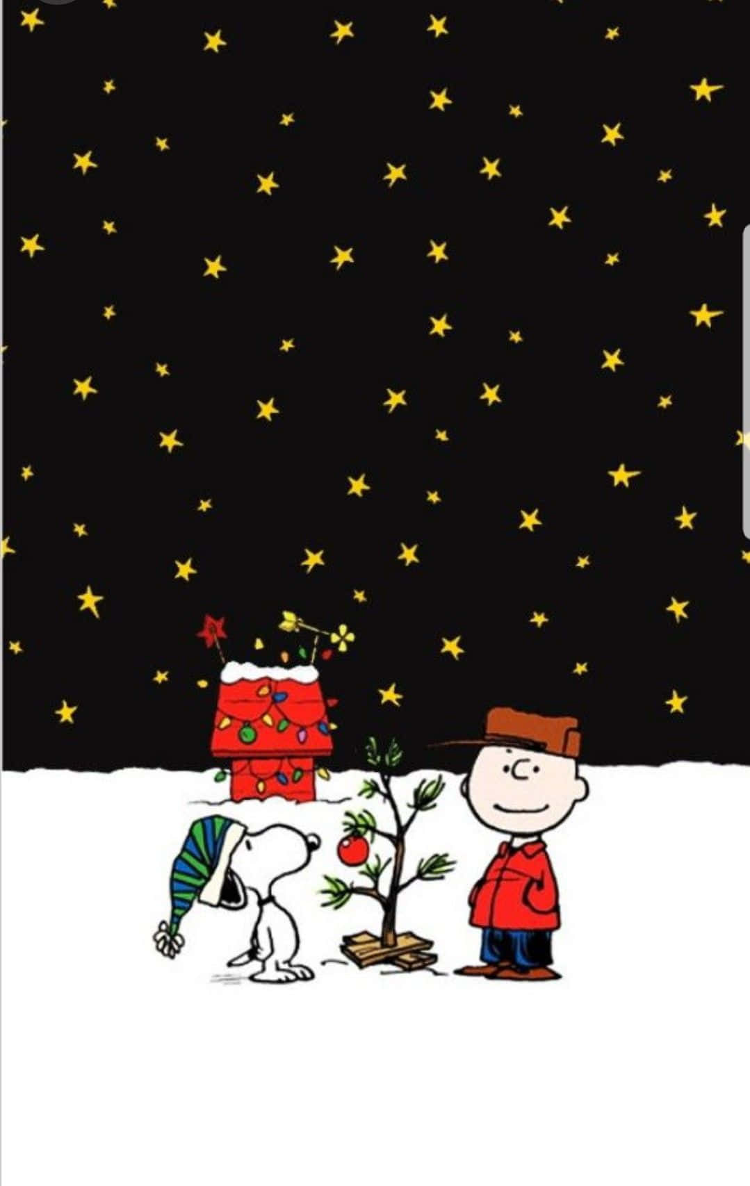 查理布朗 動圖 桌布 壁紙 — 查理布朗和史努比在星空下欣賞一棵裝飾好的小聖誕樹，背景是史努比的房子。