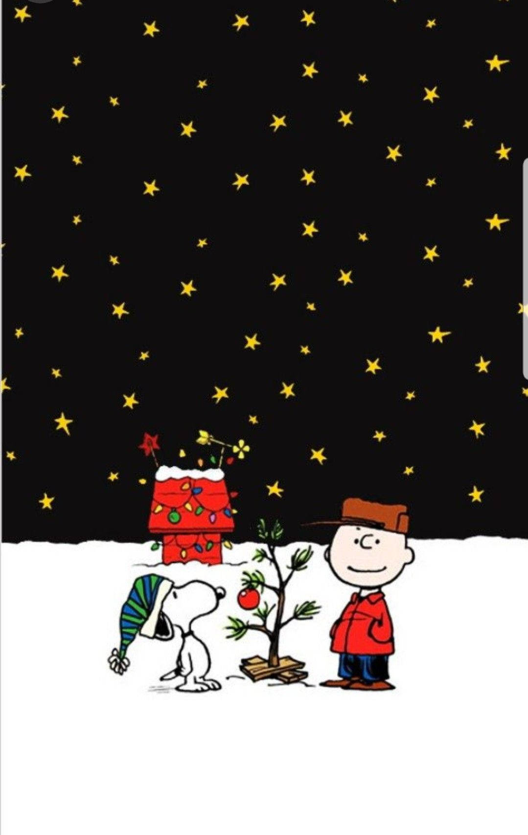 Snoopy Christmas iPhone 桌布 壁紙 — 查理布朗和史努比在雪地上欣賞星空下一棵細小裝飾了的聖誕樹。