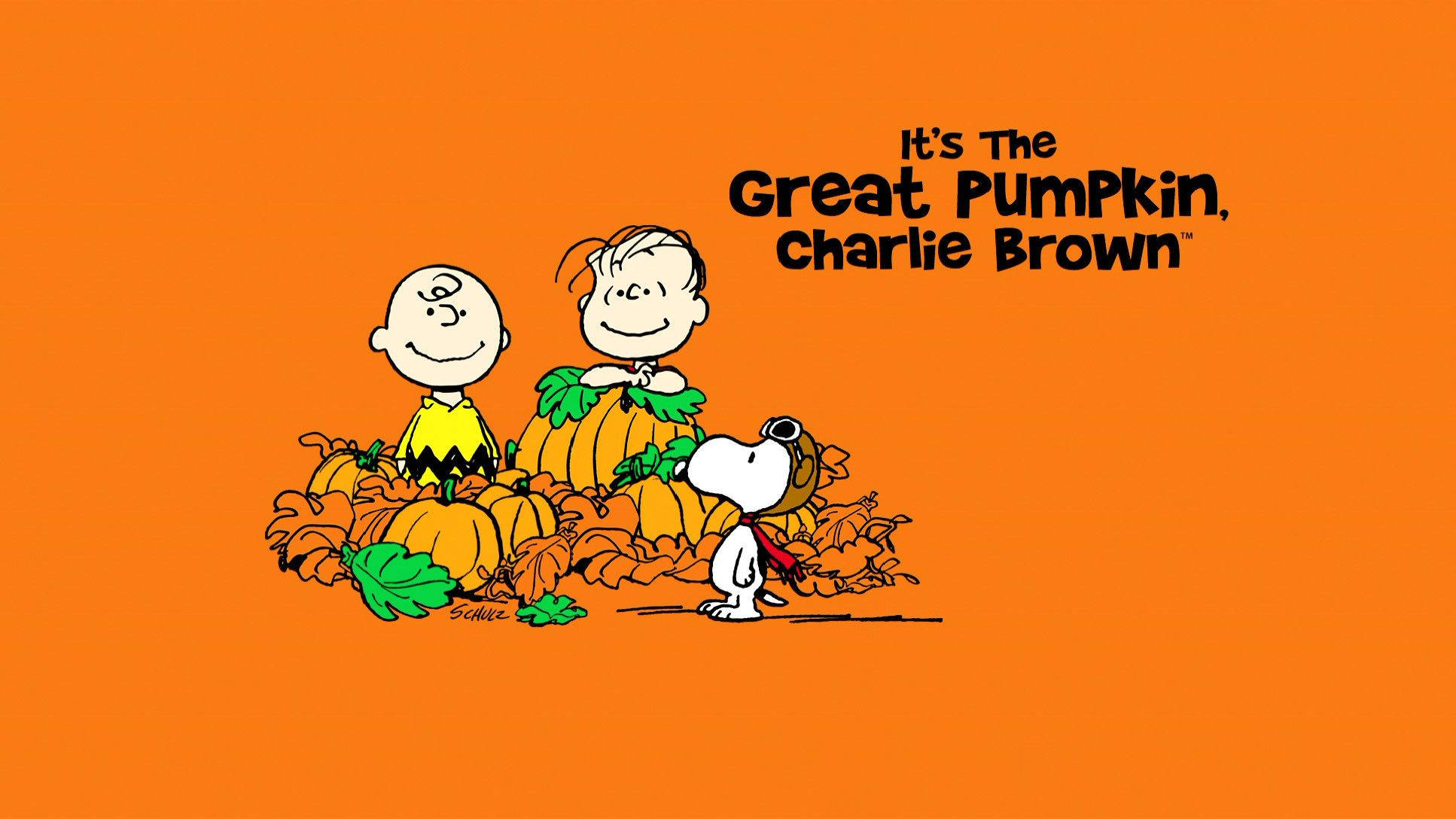 Snoopy Halloween 桌布 壁紙 — 查理布朗和奈勒斯坐在南瓜上，史努比在他們旁邊，背景是純橙色，帶有標題文字。