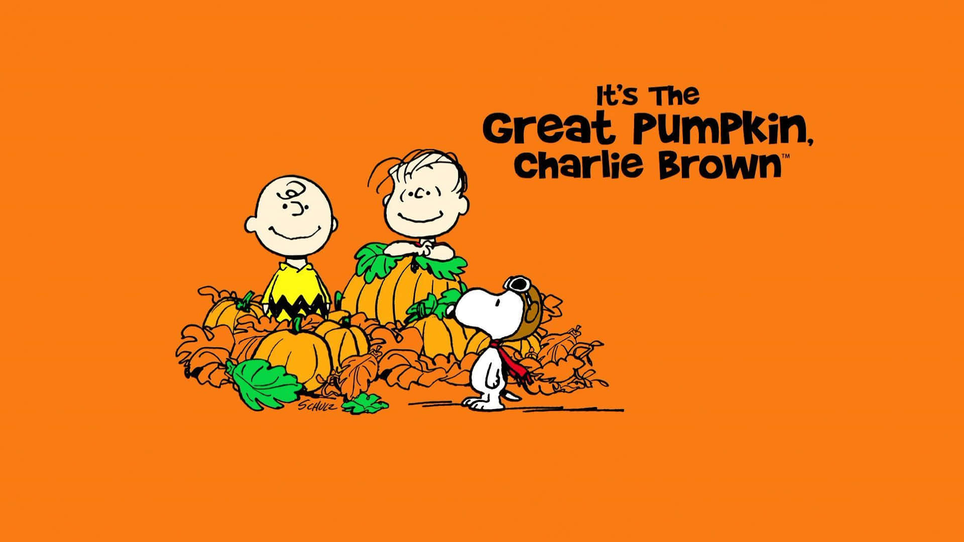 Snoopy Fall 桌布 壁紙 — 查理布朗和萊納斯坐在南瓜上，史努比在他們旁邊，背景是純橙色。