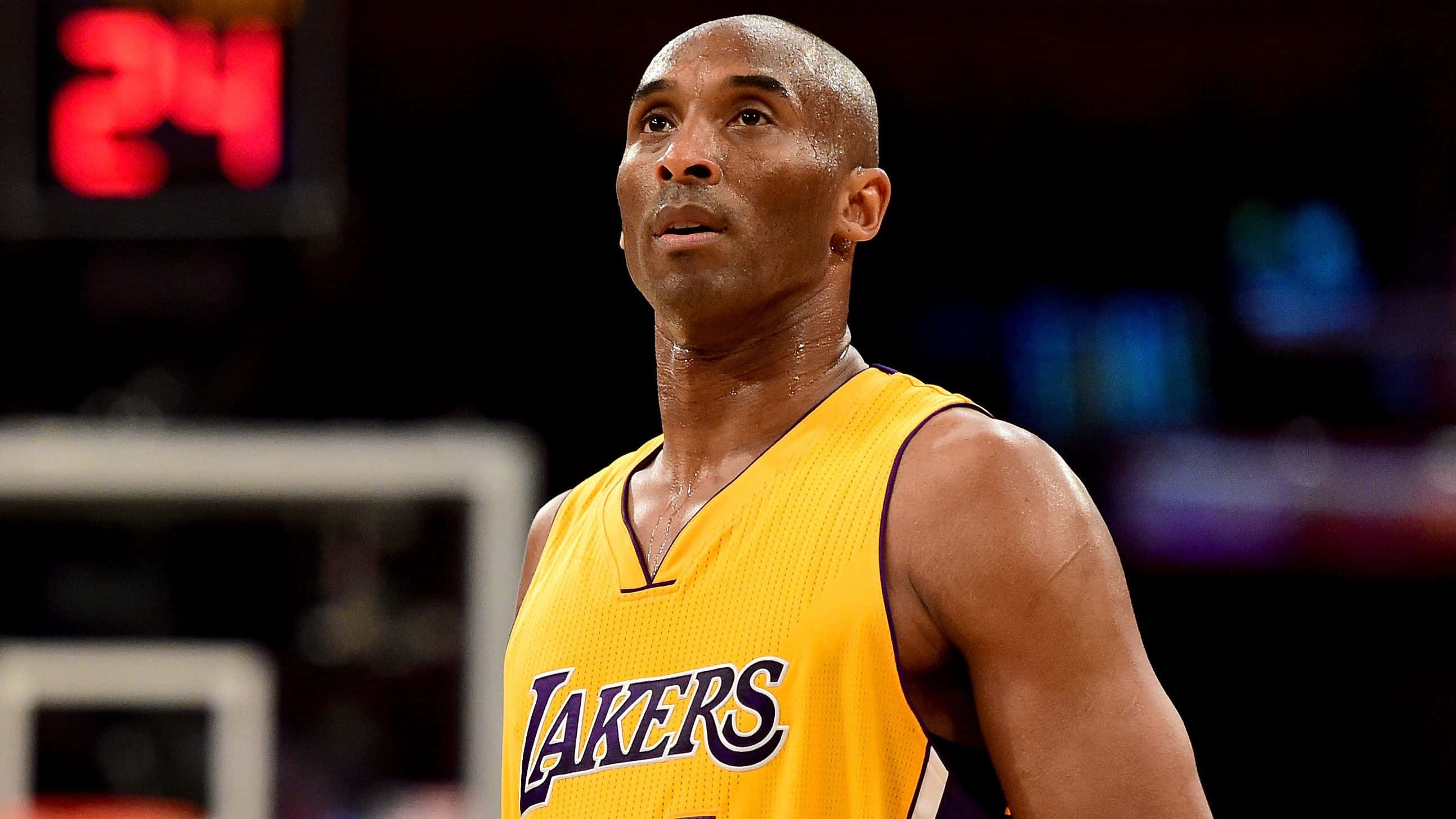 Mamba Mentality 桌布 壁紙 — 柯比·布萊恩身穿黃色湖人球衣，在場館燈光下於籃球比賽中向上看。