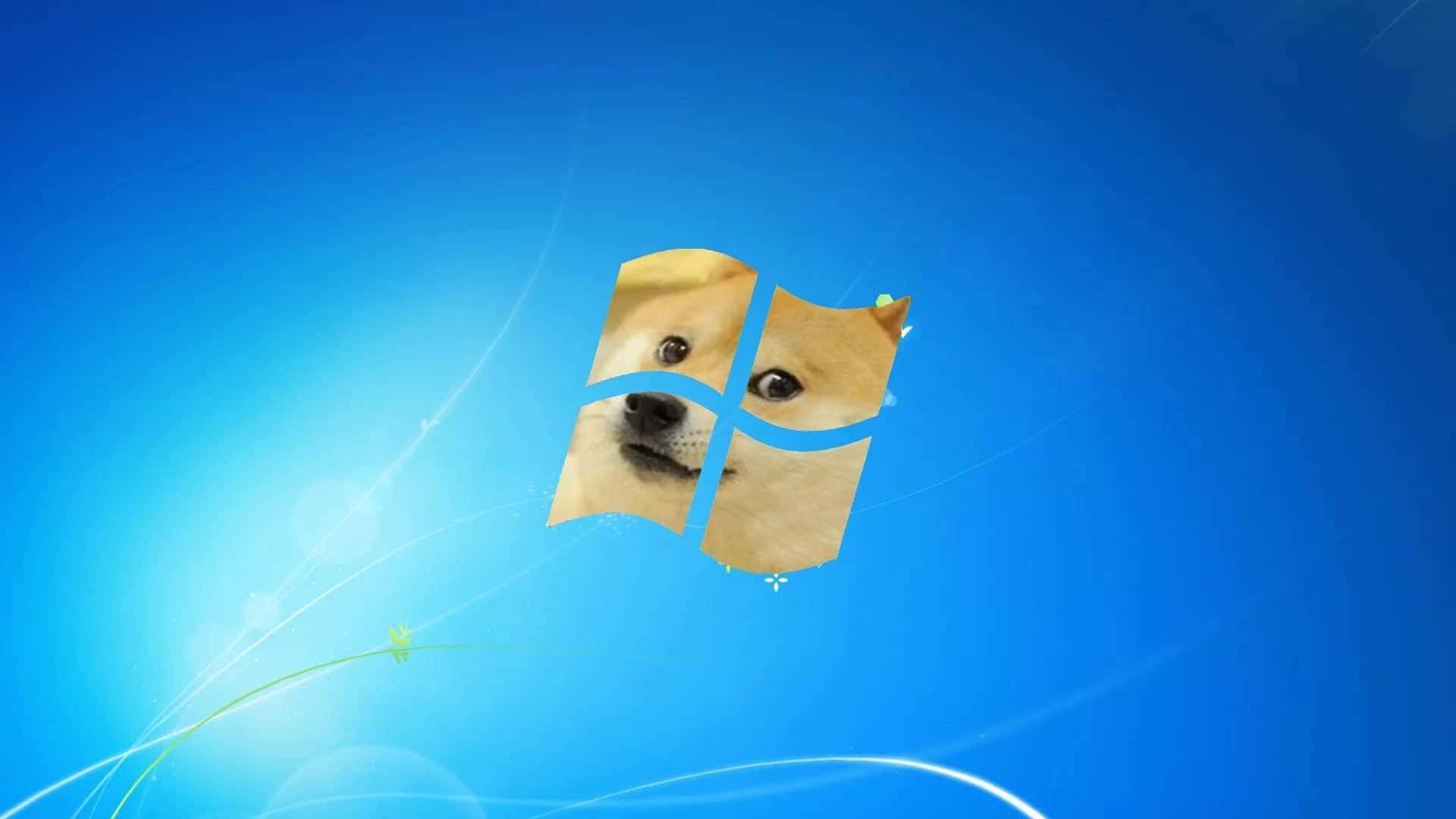 Doge 桌布 壁紙 — 柴犬的臉取代了Windows標誌，出現在明亮的藍色漸變桌面背景上，帶有發光的光線條紋。