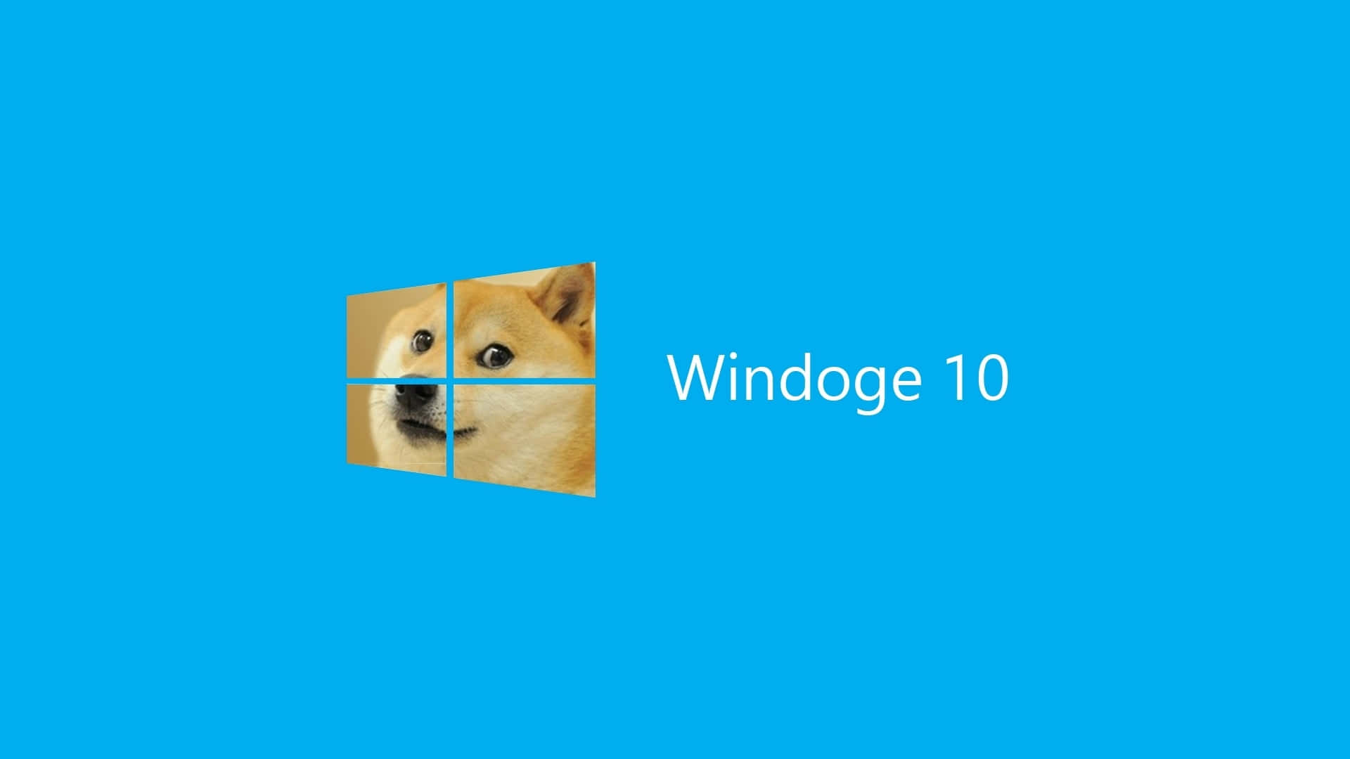 Dog Memes 桌布 壁紙 — 柴犬的臉取代了Windows標誌，背景為純藍色，並帶有文字Windoge 10。