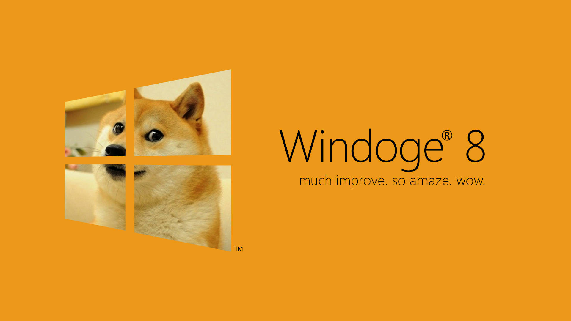 dank 桌布 壁紙 — 柴犬的臉被分割成四個面板，位於Windows標誌內，模仿Windows 8，並在橙色背景上顯示文字Windoge 8 much improve so amaze wow。