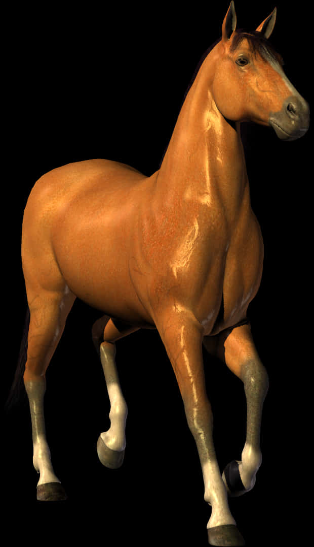 栗色駿馬黑色背景 壁紙
