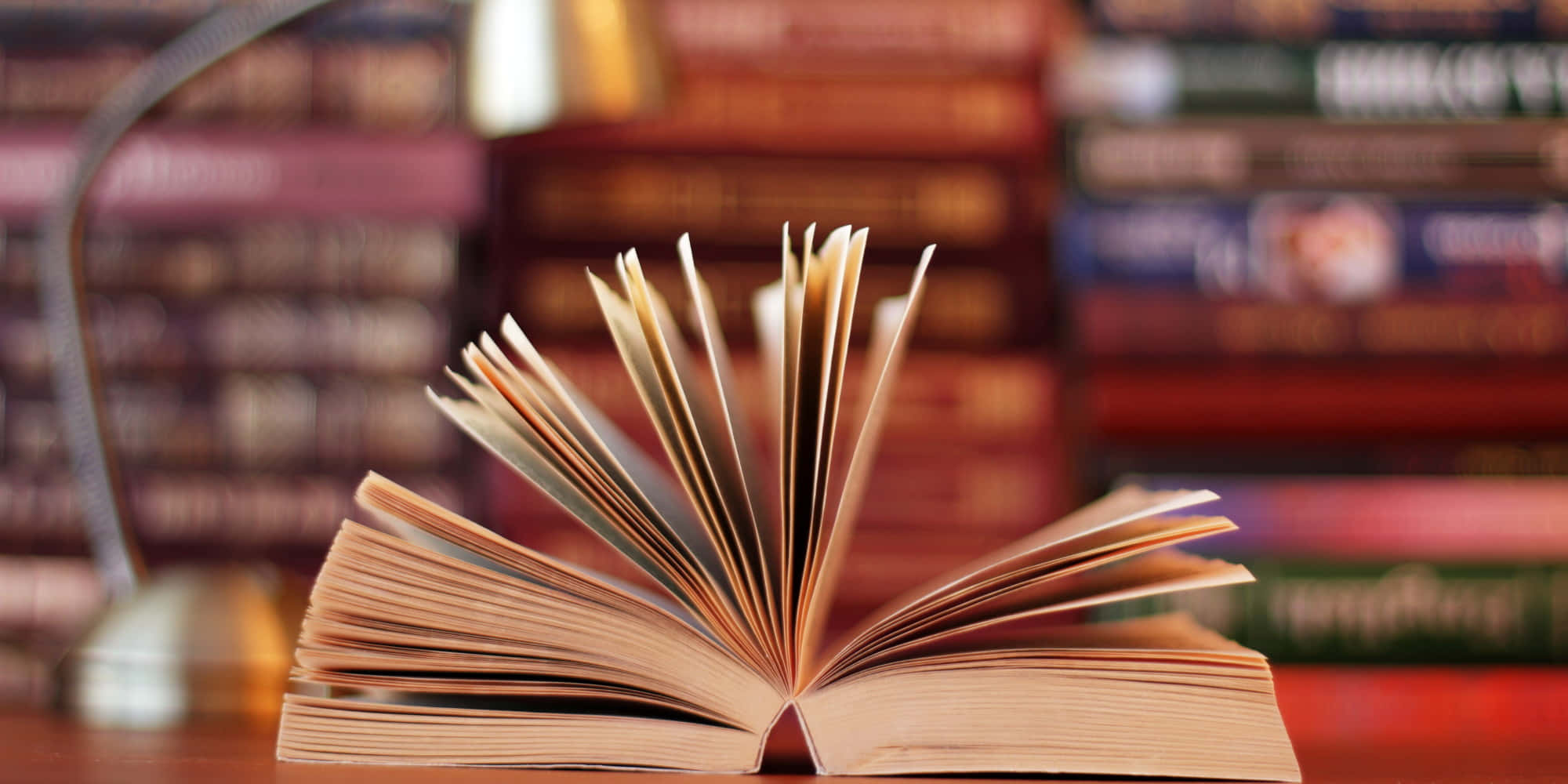 桌上放著一本書，旁邊還有其他書籍 壁紙