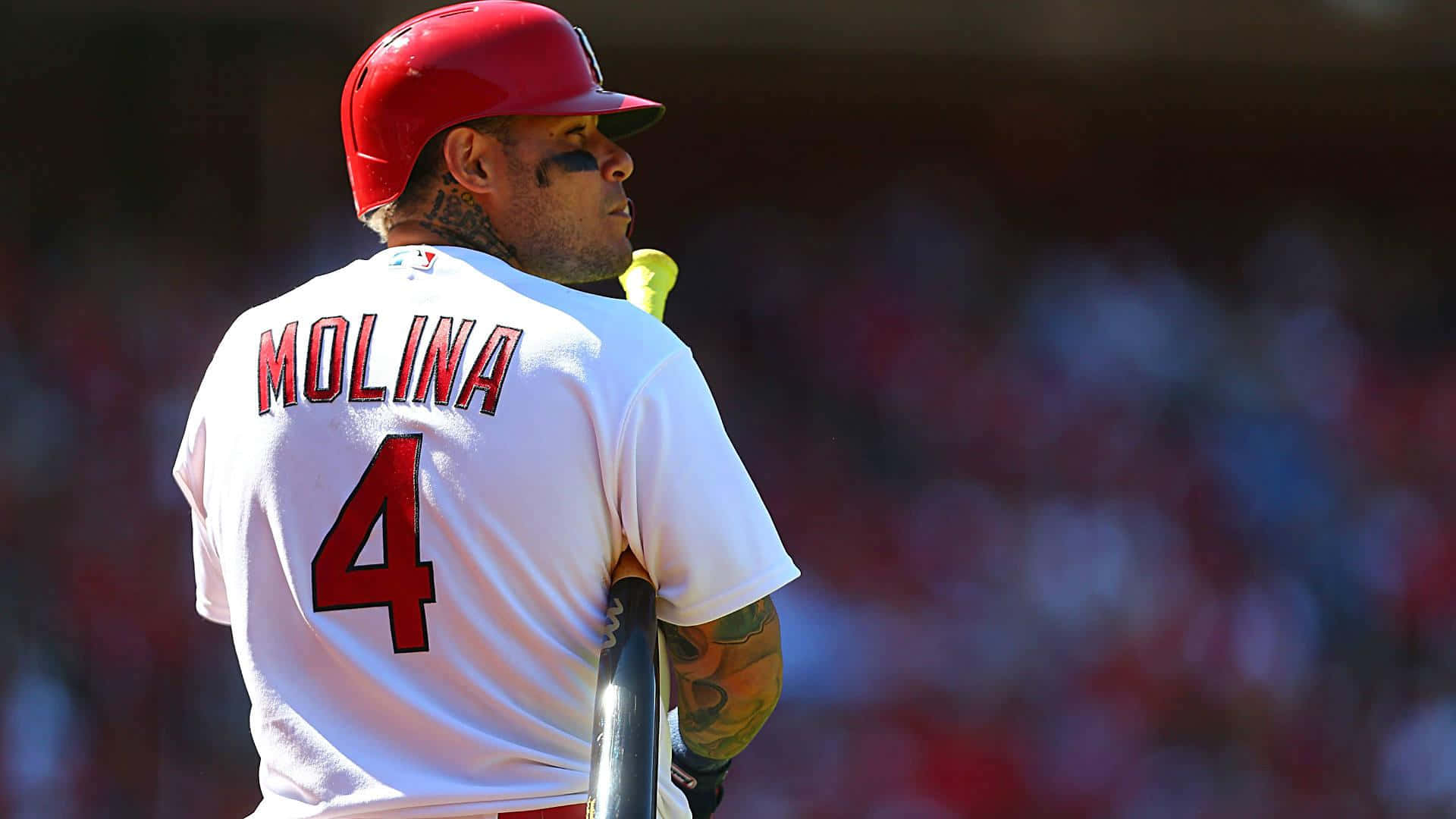 Yadier Molina 桌布 壁紙 — 棒球手Molina戴紅色頭盔、穿白色4號球衣，手臂上有刺青，站在打擊位置。