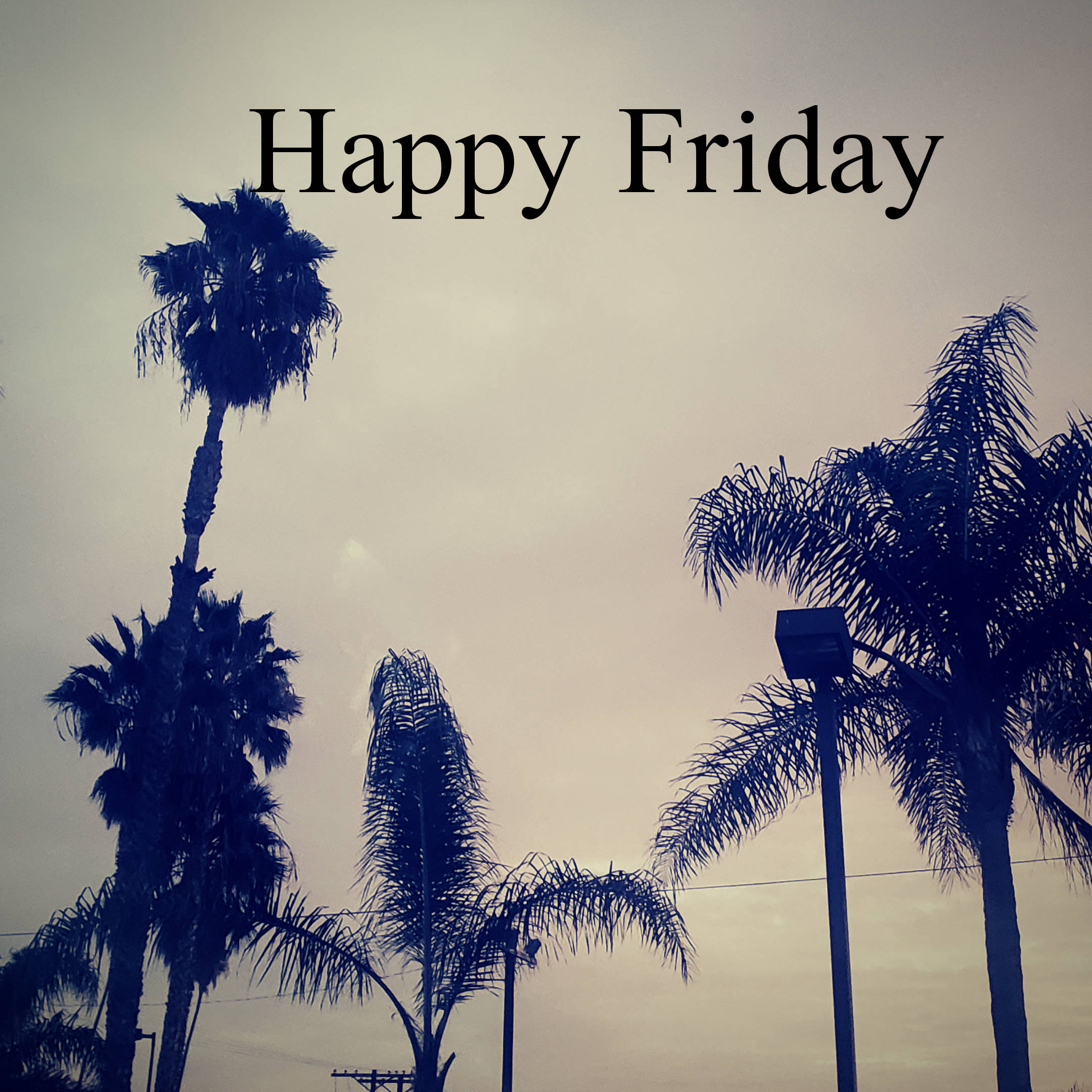 Friday 桌布 壁紙 — 棕櫚樹剪影映襯柔和天空，疊加「Happy Friday」文字。