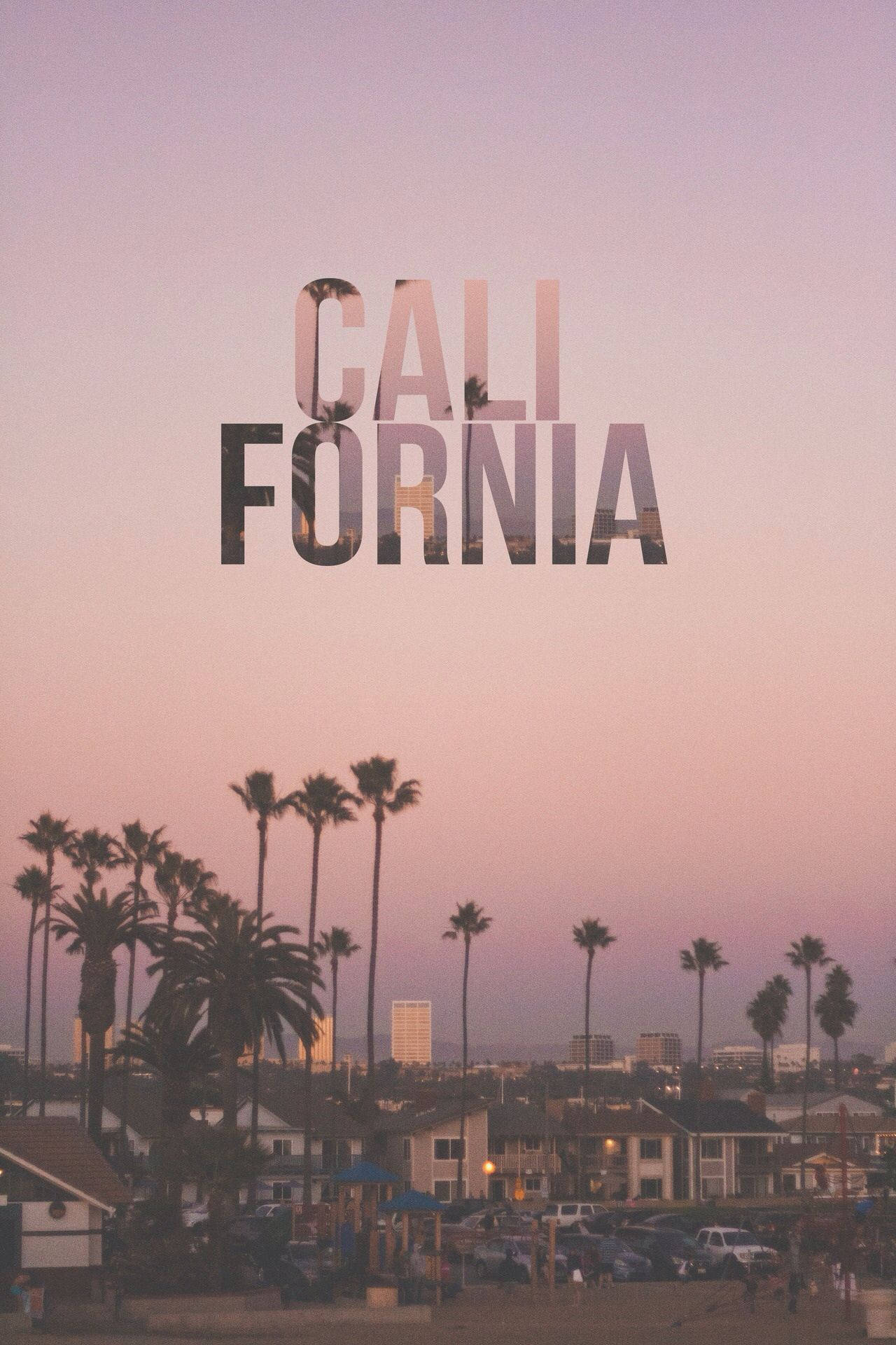 Palm Trees 桌布 壁紙 — 棕櫚樹剪影映襯柔和的粉紅和紫色日落天空，'CALIFORNIA' 文字疊加在地平線上。