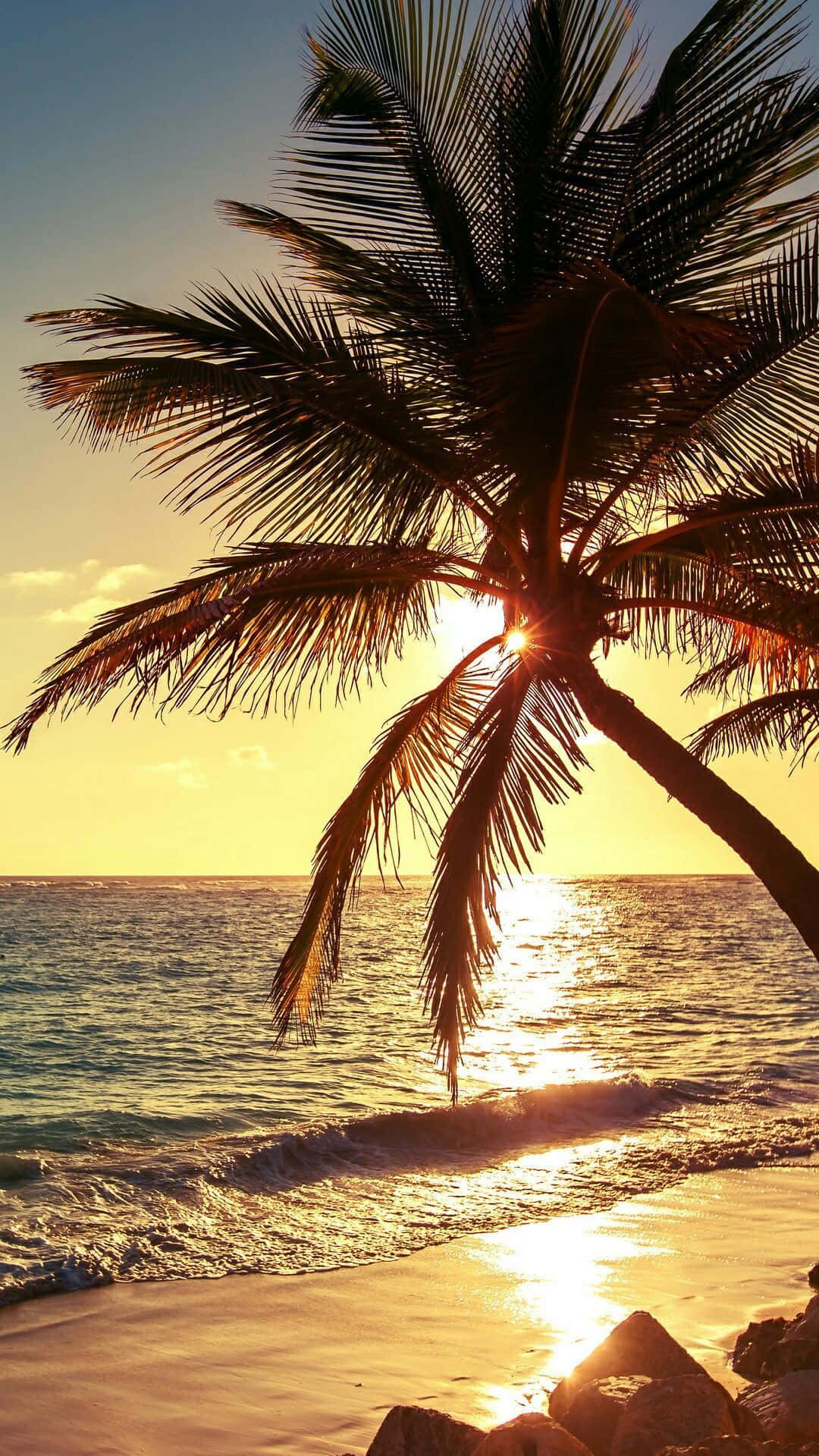 Palm Trees Beach 桌布 壁紙 — 棕櫚樹剪影映襯著金色日落，平靜的海面上輕柔的波浪輕吻著海岸。