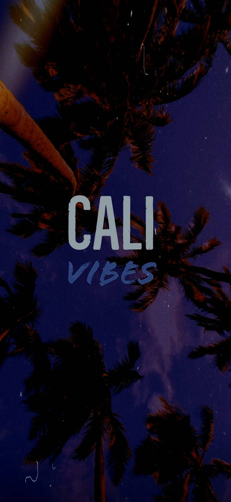 Tree 桌布 壁紙 — 棕櫚樹剪影襯托著星空暮色，粗體文字寫著cali vibes。