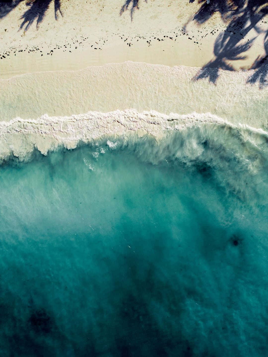 Ocean Aesthetic Phone 桌布 壁紙 — 棕櫚樹剪影遮蔽下的白色沙灘上，碧綠海浪拍打的航拍視圖。