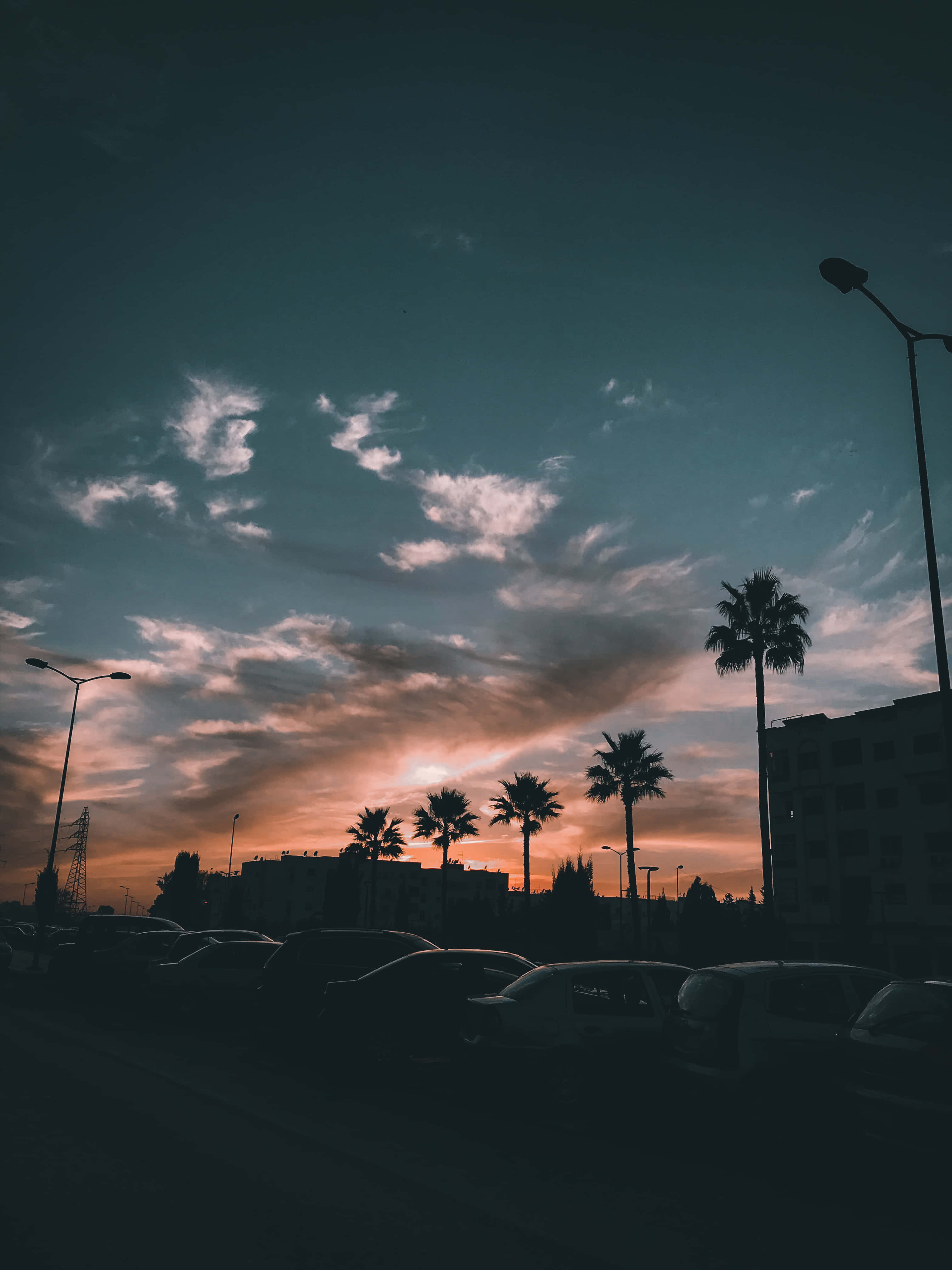 City Sunset iPhone 桌布 壁紙 — 棕櫚樹和汽車的剪影，映襯著充滿活力的日落天空，帶有條紋雲和街燈。