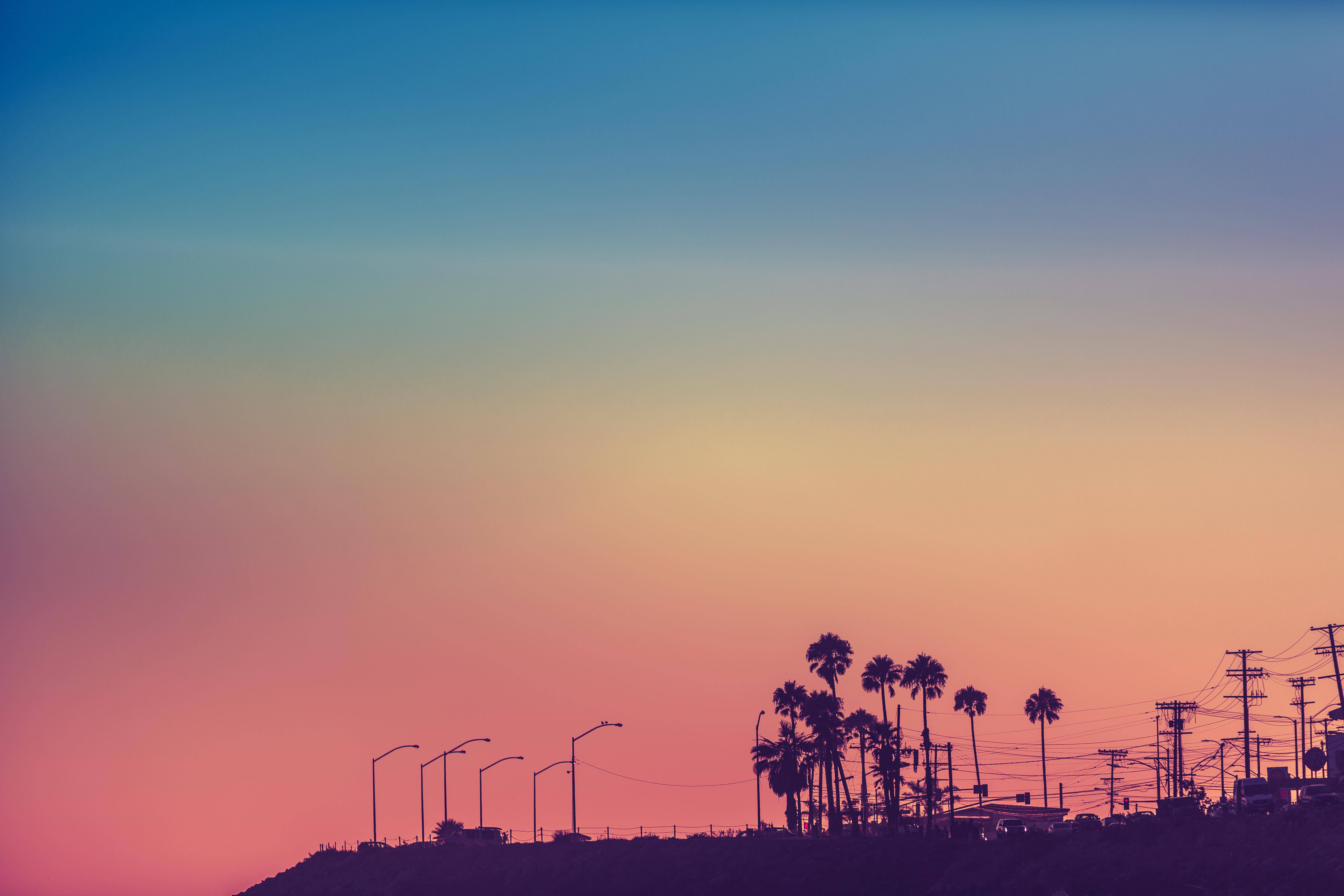 Los Angeles Sunset 桌布 壁紙 — 棕櫚樹和路燈的剪影，映襯著從藍色漸變到粉紅色的鮮豔日落天空。