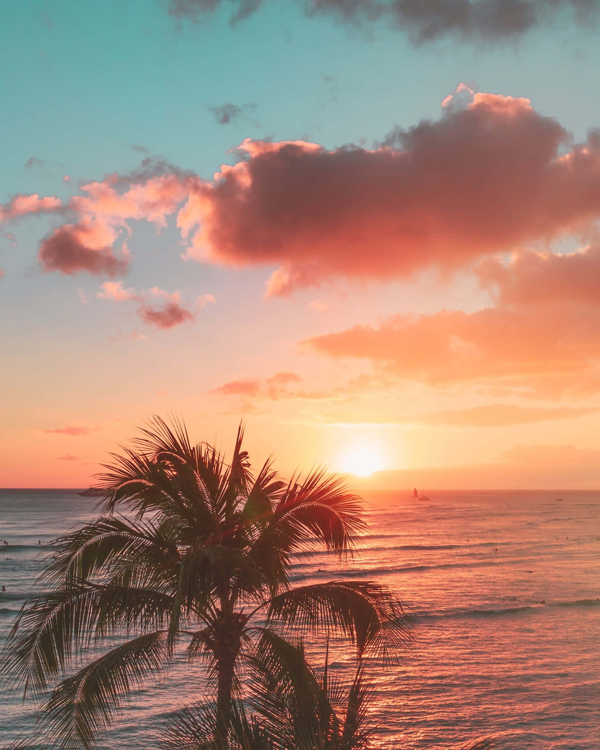 Aesthetic Hawaii 桌布 壁紙 — 棕櫚樹在海洋上充滿活力的日落襯托下形成剪影，天空呈現粉紅色、橙色和藍綠色。
