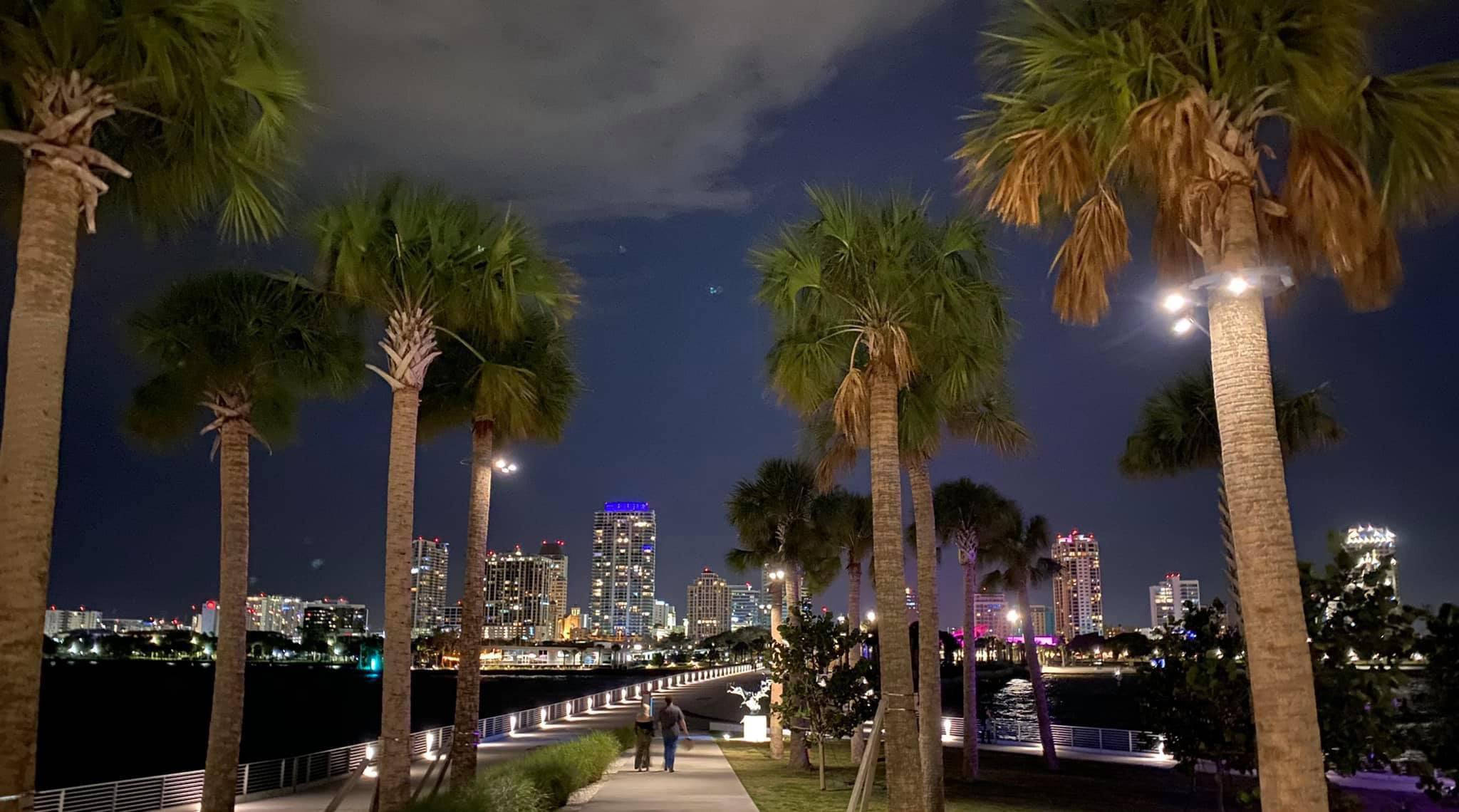 Buildings 桌布 壁紙 — 棕櫚樹排列在海濱長廊旁，夜晚遠方閃耀著城市天際線。