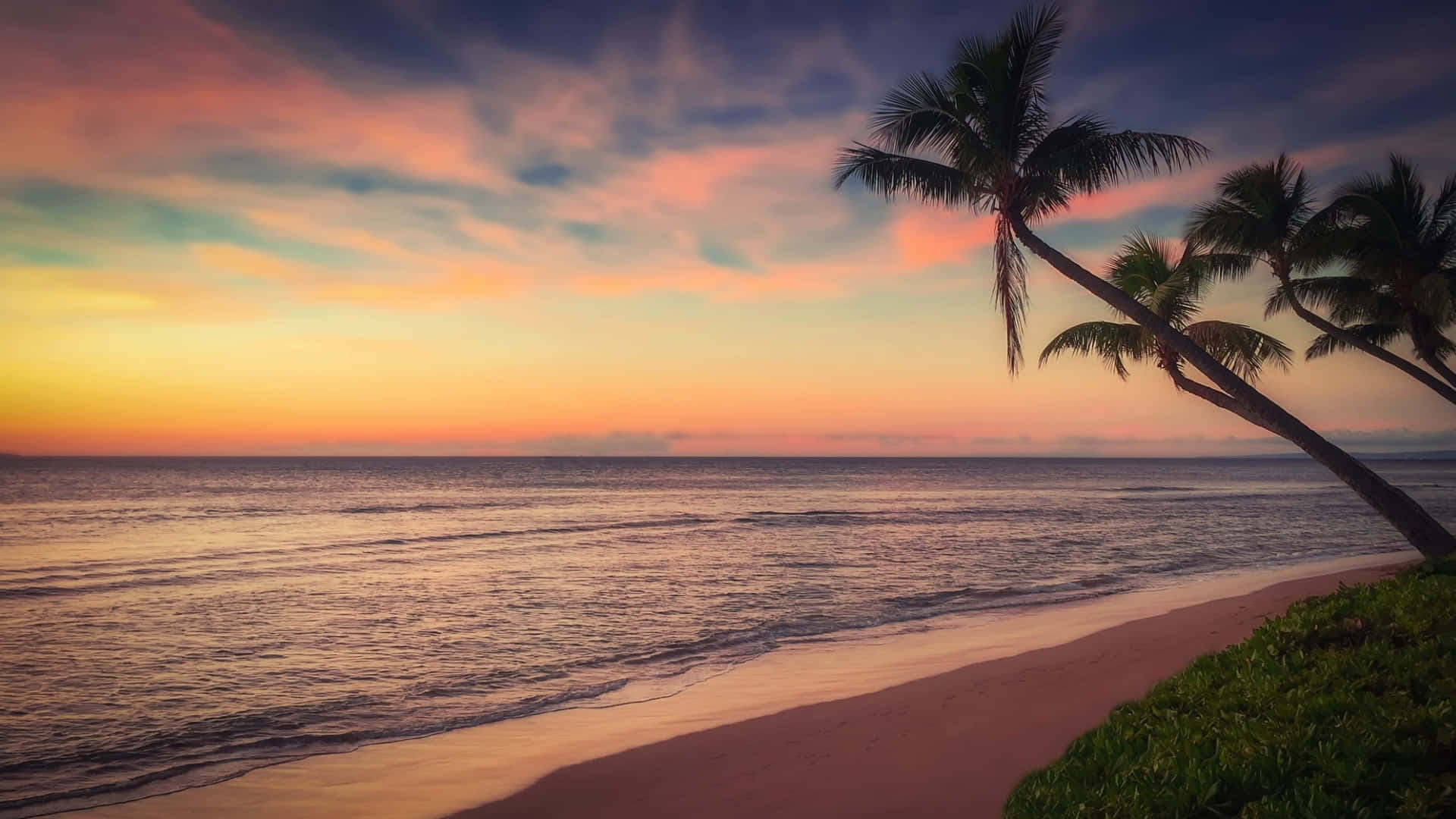 Beach Scene 桌布 壁紙 — 棕櫚樹斜倚在沙灘上，海浪在色彩繽紛的日落天空下翻滾，天空塗上了橙色、粉紅色和紫色的色調。