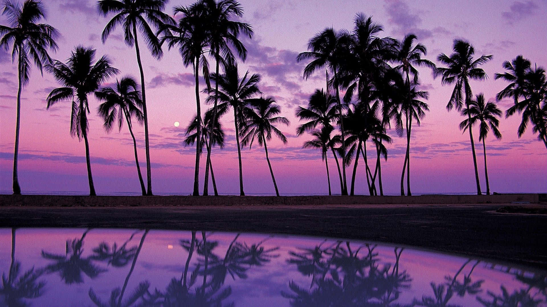 桌布 壁紙 — 棕櫚樹的剪影在平靜的水面上倒映，天空是充滿活力的紫色和粉紅色暮色，還有一輪發光的月亮。