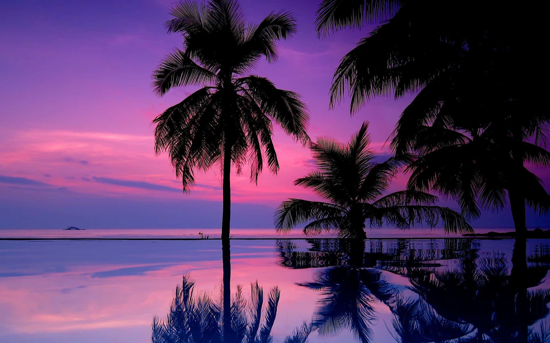Coconut Tree 桌布 壁紙 — 棕櫚樹的剪影在平靜的水面上倒映，天空是充滿活力的紫色和粉紅色日落。