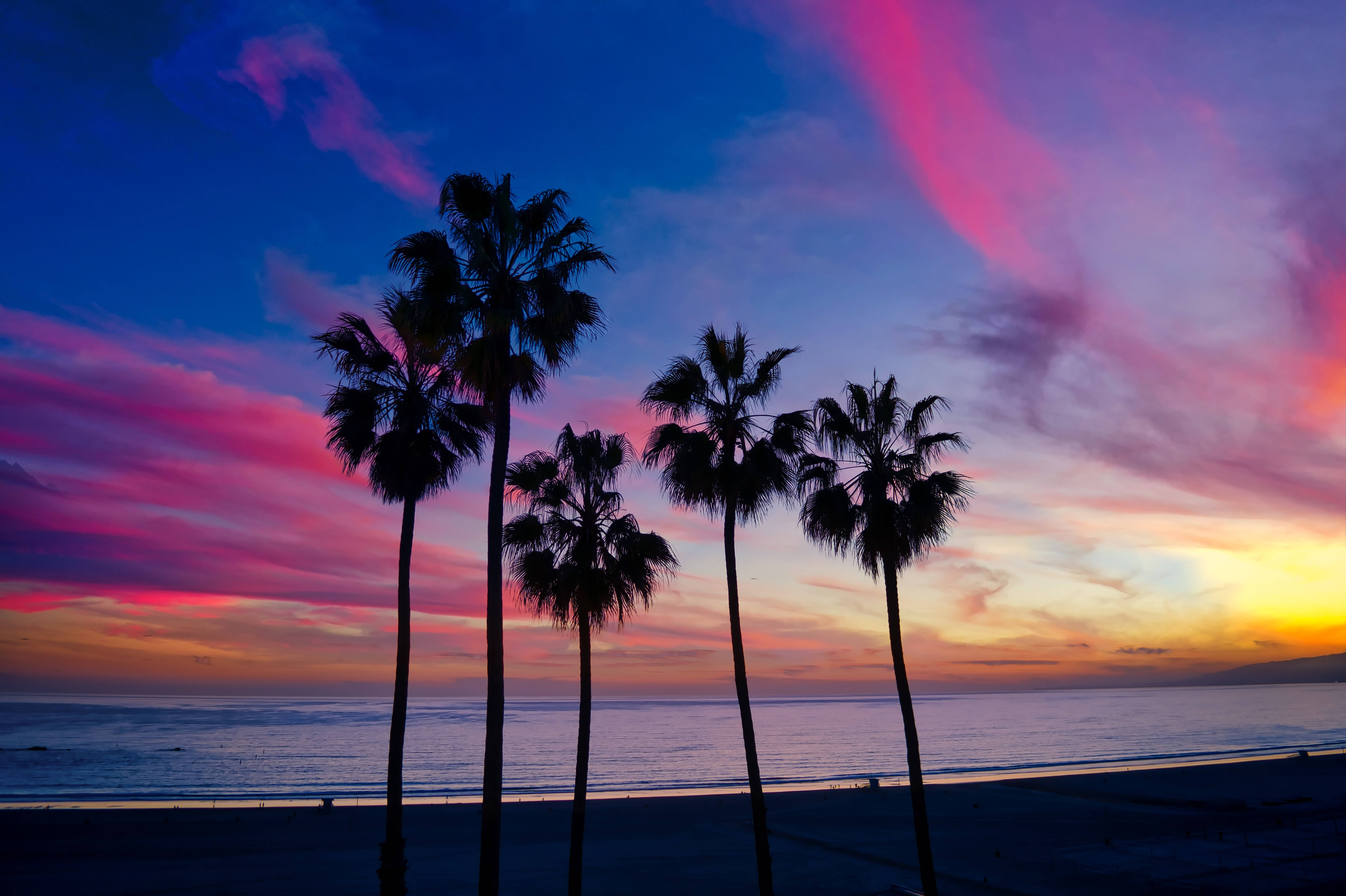 夕陽天空 桌布 壁紙 — 棕櫚樹的剪影在平靜的海洋上，襯托著由粉紅、紫色和橙色渲染的鮮豔日落天空。