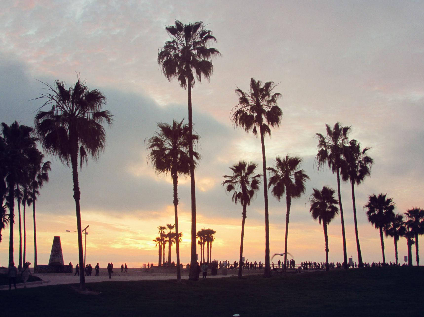 Venice Beach 桌布 壁紙 — 棕櫚樹的剪影在柔和的日落天空下高高聳立，人們沿著海岸小徑漫步。