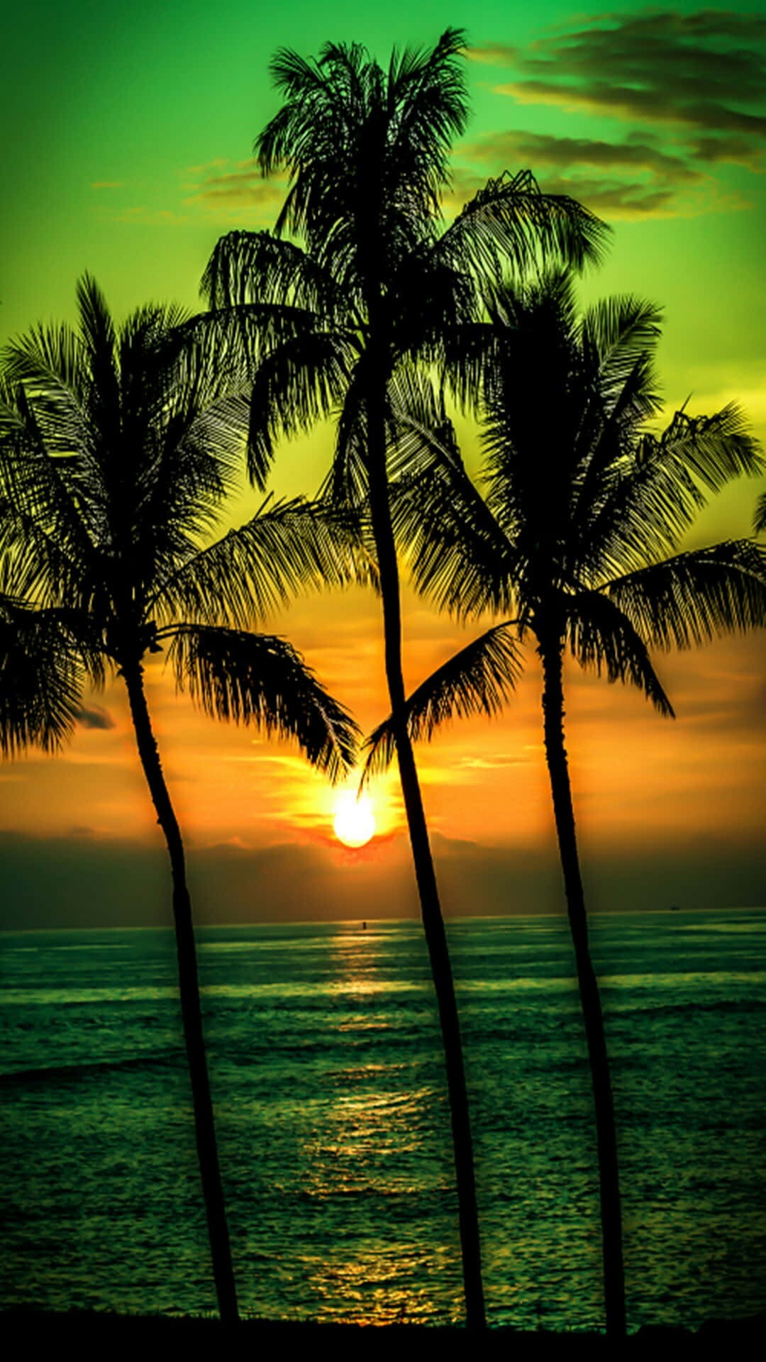 Beach Palm Trees 桌布 壁紙 — 棕櫚樹的剪影在海洋上夕陽西下、金色光芒映照水面的背景下高高聳立。