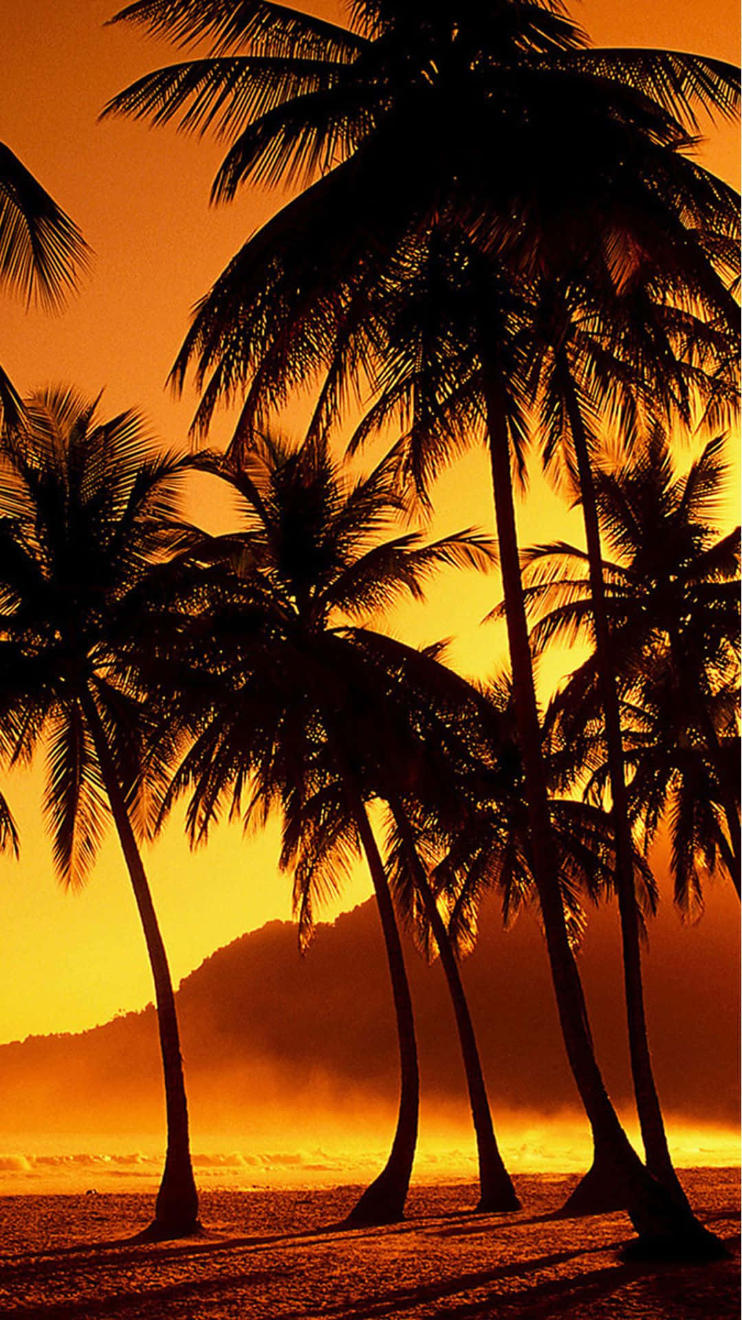 Sunset Beach iPhone 桌布 壁紙 — 棕櫚樹的剪影在熱帶海灘上搖曳，映襯著火紅的橙色日落，遠方有山丘。