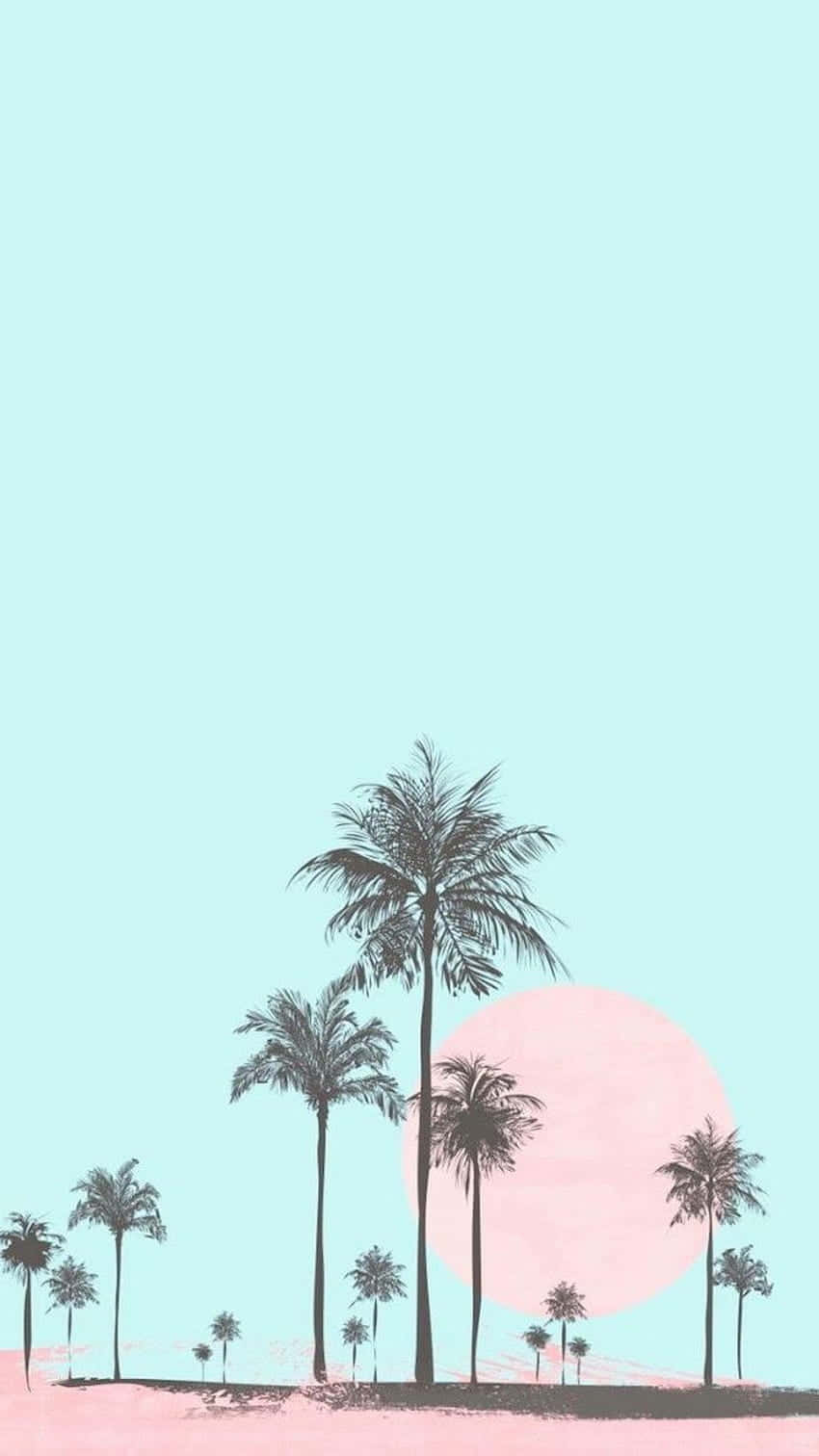 Cute Palm Tree 桌布 壁紙 — 棕櫚樹的剪影在粉紅色地平線上，襯托著粉彩粉紅色的太陽和薄荷綠色的天空。