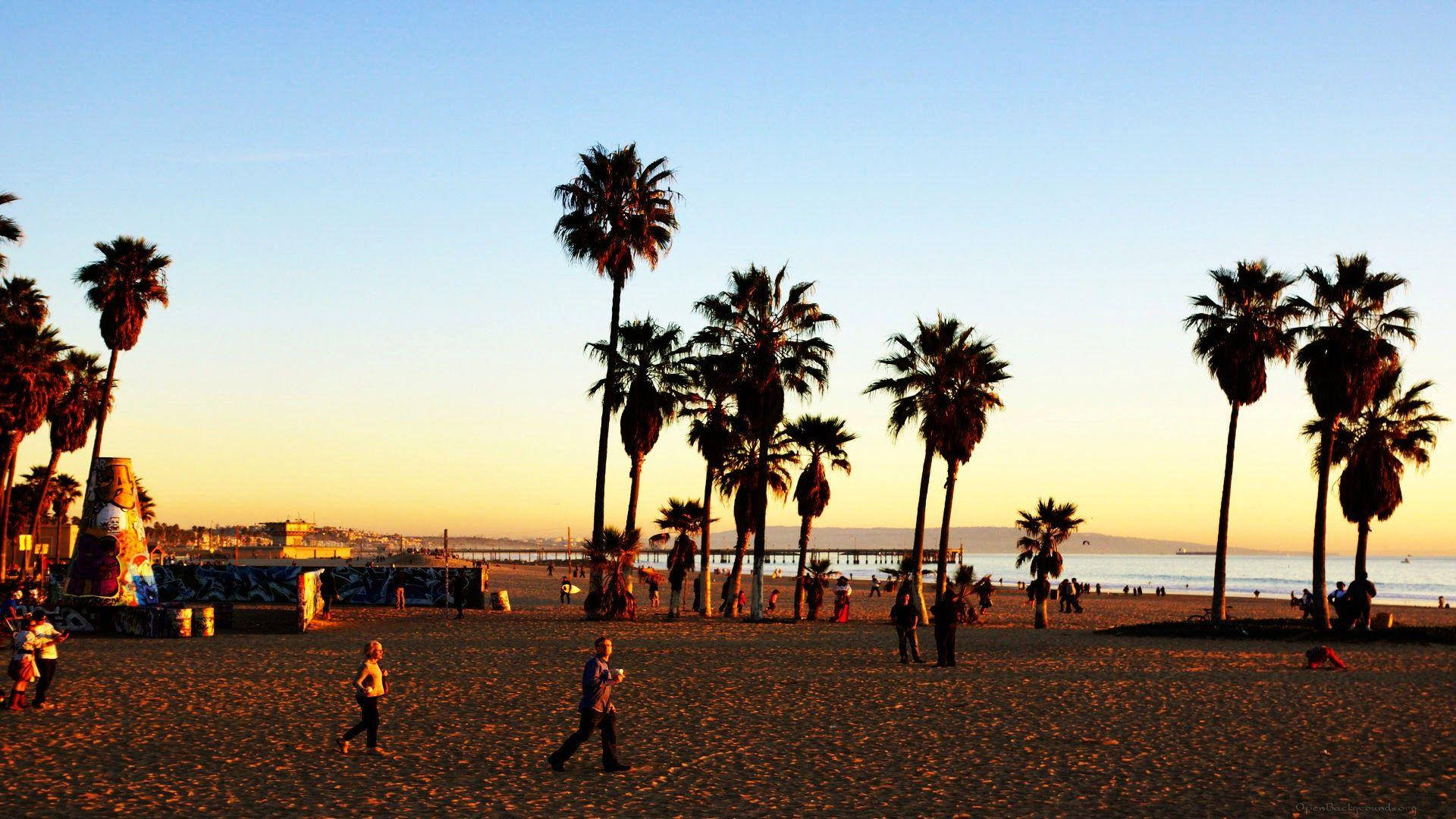Venice Beach 桌布 壁紙 — 棕櫚樹的剪影排列在繁忙的海灘上，金色夕陽下人們在沙灘上漫步和玩耍。