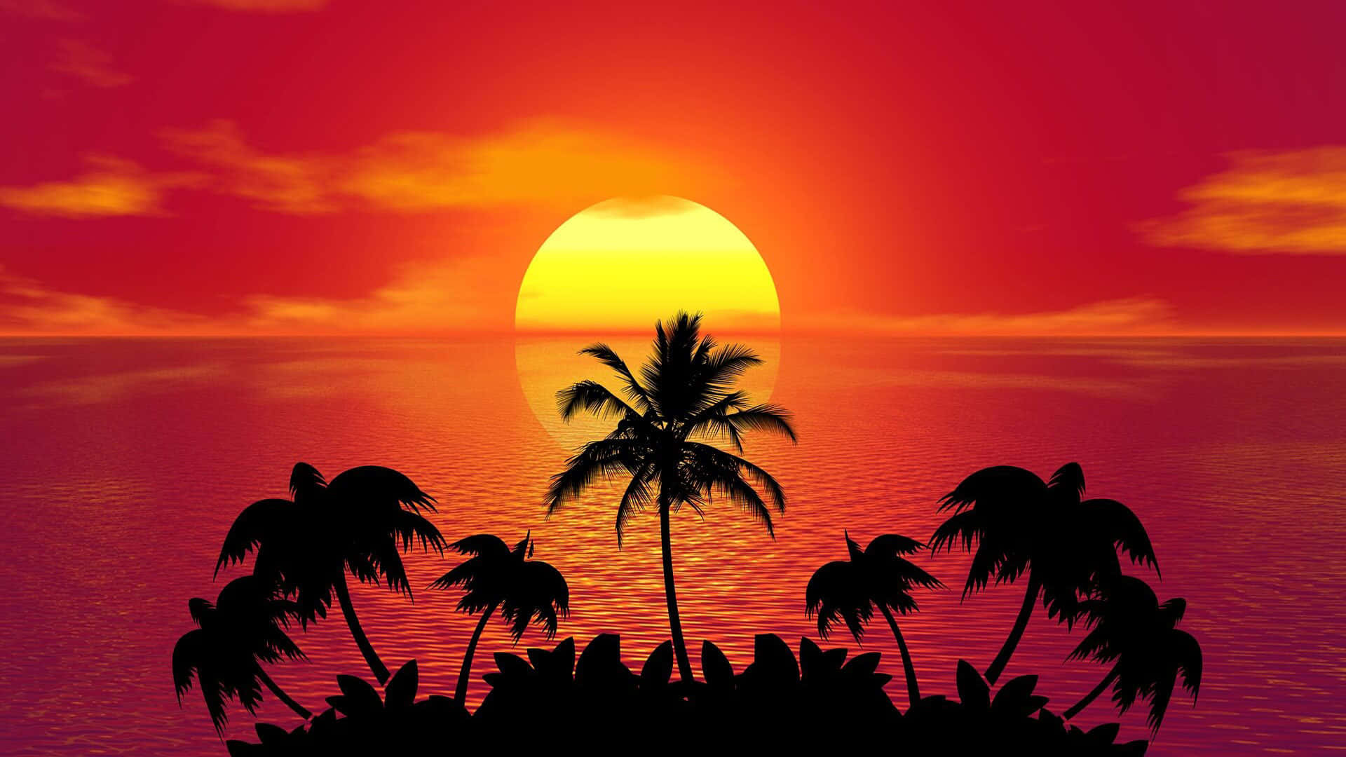 Palm 桌布 壁紙 — 棕櫚樹的剪影框住一輪巨大的發光太陽，在火紅和橙色的天空下，平靜的海洋上緩緩落下。