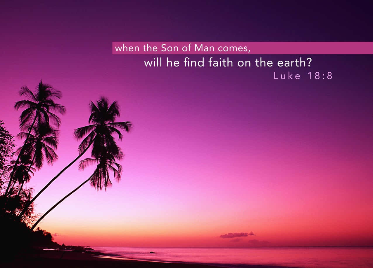Cute Bible Verse 桌布 壁紙 — 棕櫚樹的剪影框住了一個充滿活力的粉紅色和紫色日落，映照在平靜的海洋上，並疊加了聖經經文。