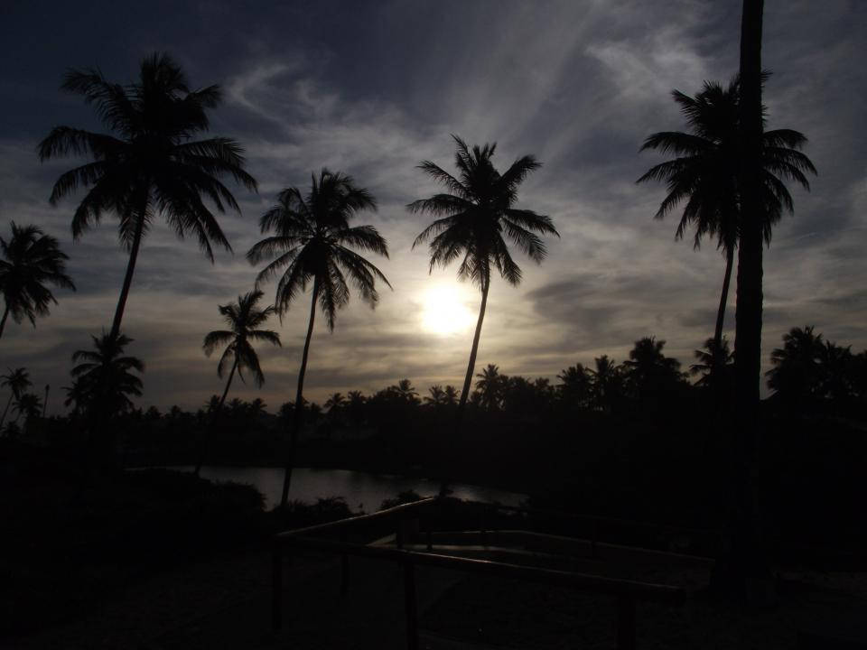 Tropical Beach 桌布 壁紙 — 棕櫚樹的剪影框住了一個在雲層天空下，於寧靜熱帶水道上升起的發光夕陽。