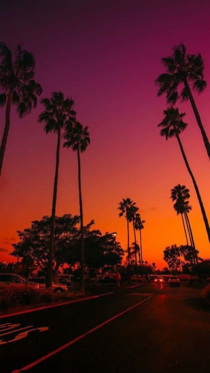 Sunset Beach iPhone 桌布 壁紙 — 棕櫚樹的剪影框住了一條寧靜街道上停泊的汽車上方充滿活力的橙色和紫色日落。