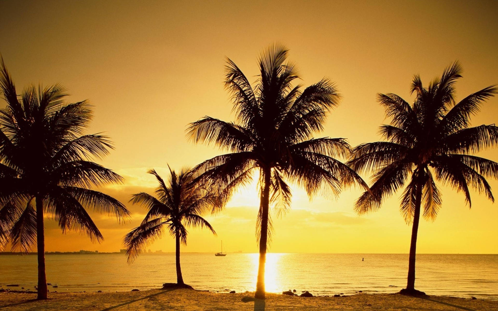Tumblr Sunset Desktop 桌布 壁紙 — 棕櫚樹的剪影框住了平靜海面上的金色日落，遠處有一艘帆船。
