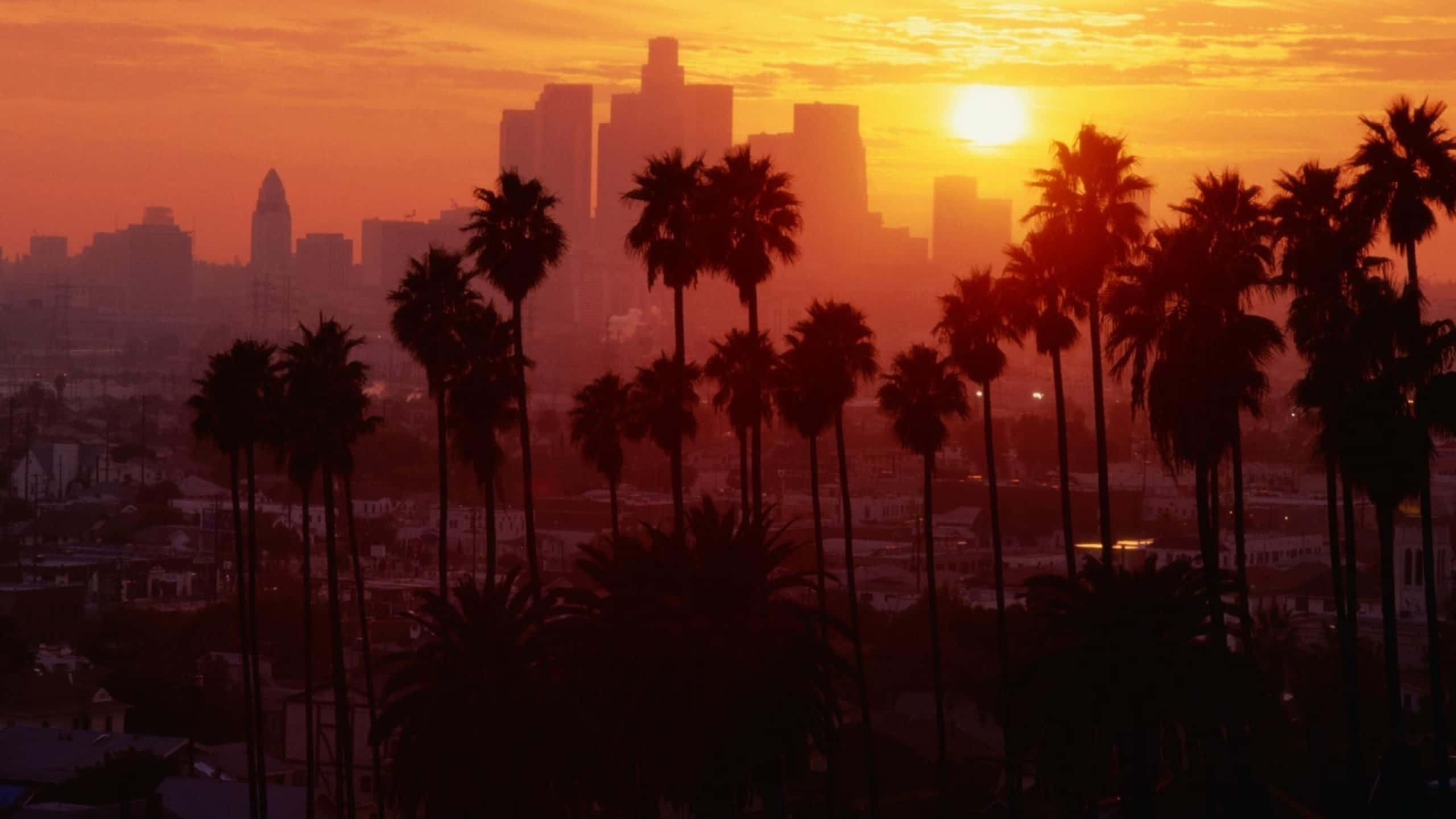 Sunset Aesthetic 桌布 壁紙 — 棕櫚樹的剪影框住了洛杉磯天際線上方閃耀的橙色日落，背景是朦朧的城市景觀。