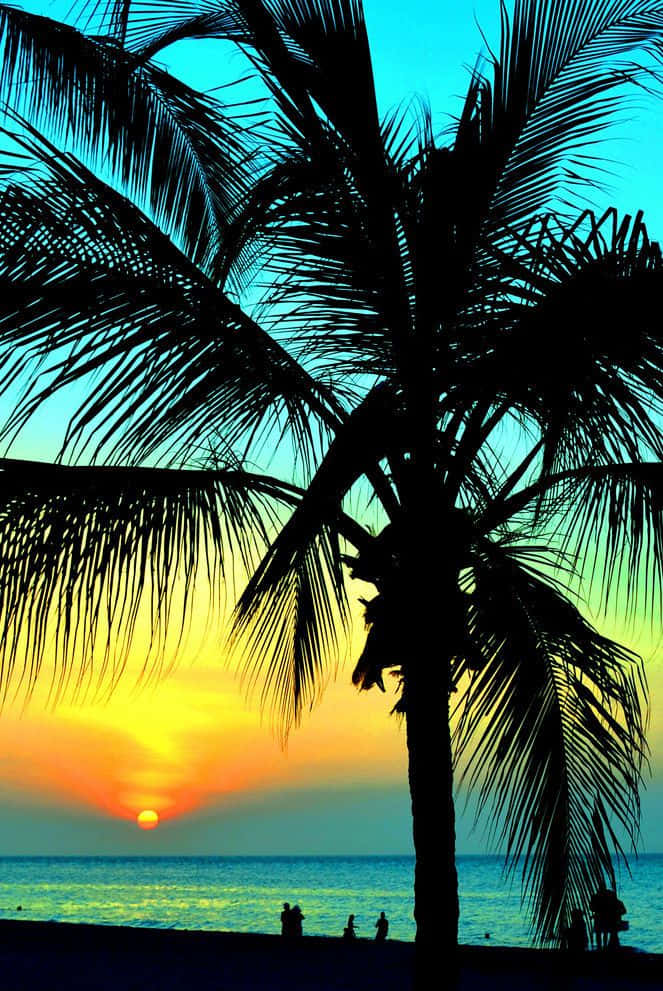Palm Trees Beach 桌布 壁紙 — 棕櫚樹的剪影框住了海洋上充滿活力的日落，下方有小小的海灘遊客。