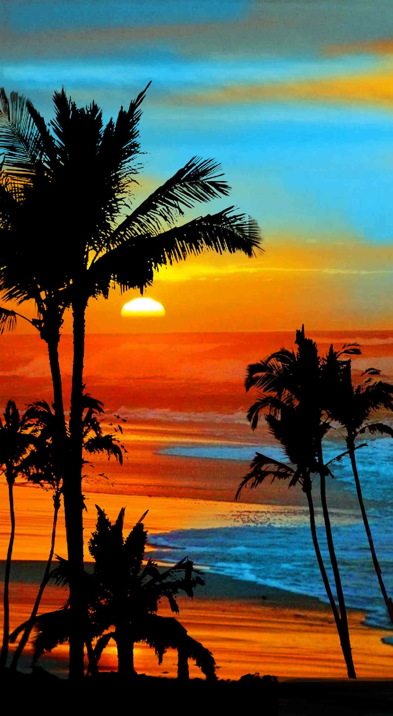 Palm Trees Beach 桌布 壁紙 — 棕櫚樹的剪影框住了熱帶海灘上充滿活力的日落，伴隨著橙色海浪和藍色天空。