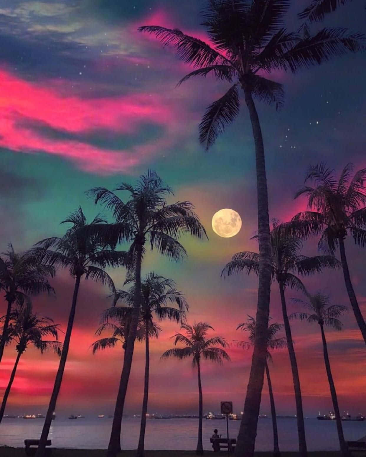 Sunset View 桌布 壁紙 — 棕櫚樹的剪影襯托著一輪發光的滿月，背景是平靜海洋上充滿活力的粉紅和藍綠色暮色天空。