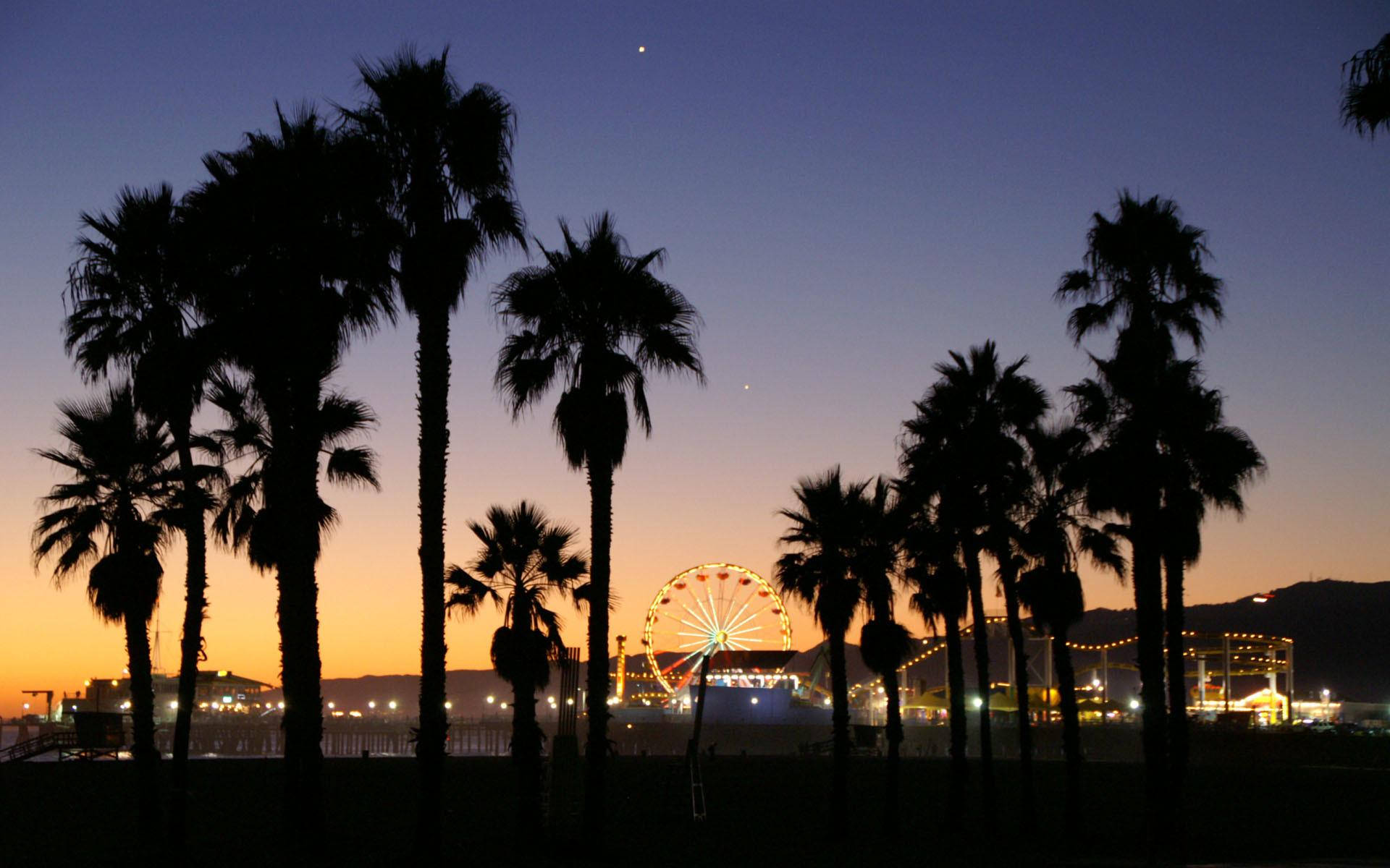 Venice Beach 桌布 壁紙 — 棕櫚樹的剪影襯托著發光的摩天輪，背景是暮色天空，星星開始出現。