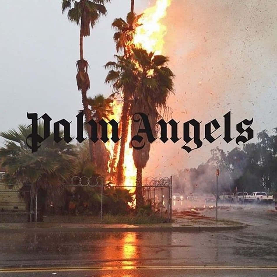 Palm Angels 桌布 壁紙 — 棕櫚樹被火焰吞噬，熾熱的橙色光芒在陰天下的濕漉漉路面上反射。