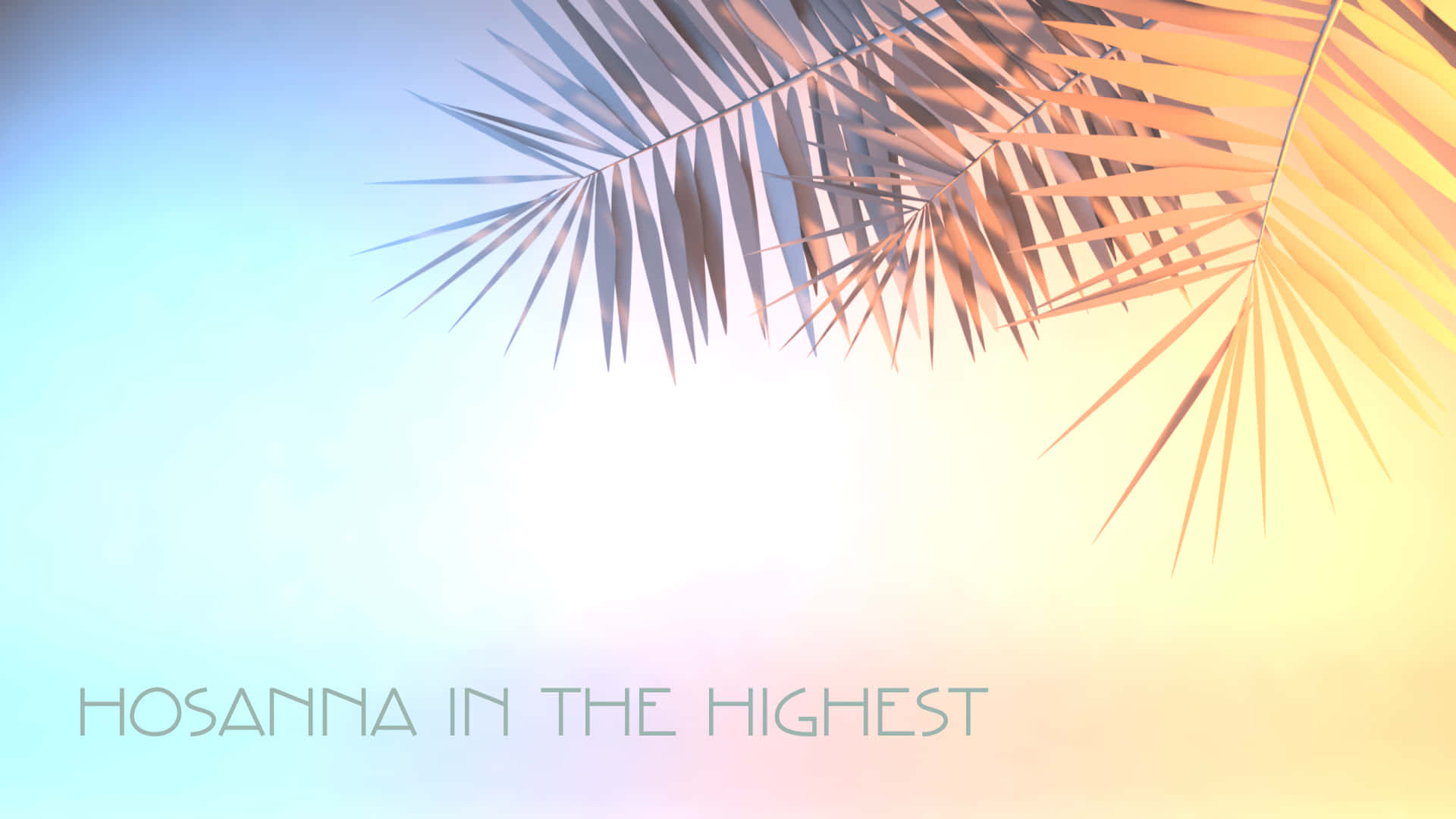 Palm Leaves 桌布 壁紙 — 棕櫚葉優雅地彎曲，映襯著從冷藍色過渡到暖黃色的柔和漸變天空。