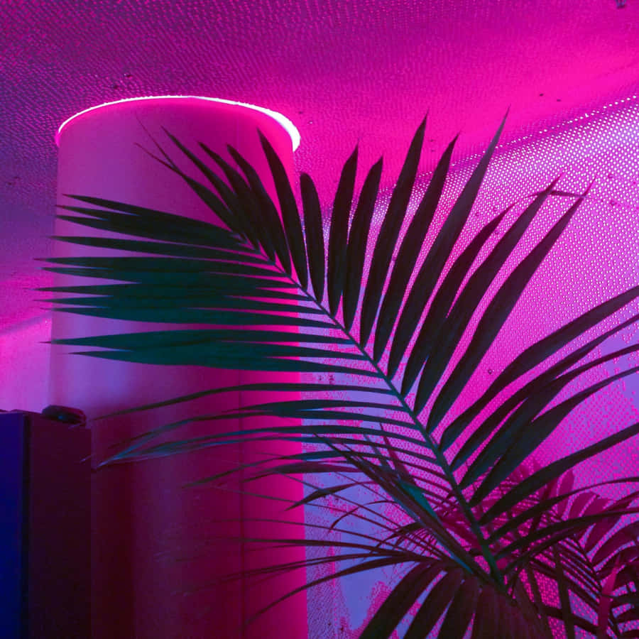 霓虹粉紅美學 桌布 壁紙 — 棕櫚葉剪影映襯在充滿活力的粉紅色霓虹燈照亮的紋理牆壁上，配以發光的圓柱形燈。