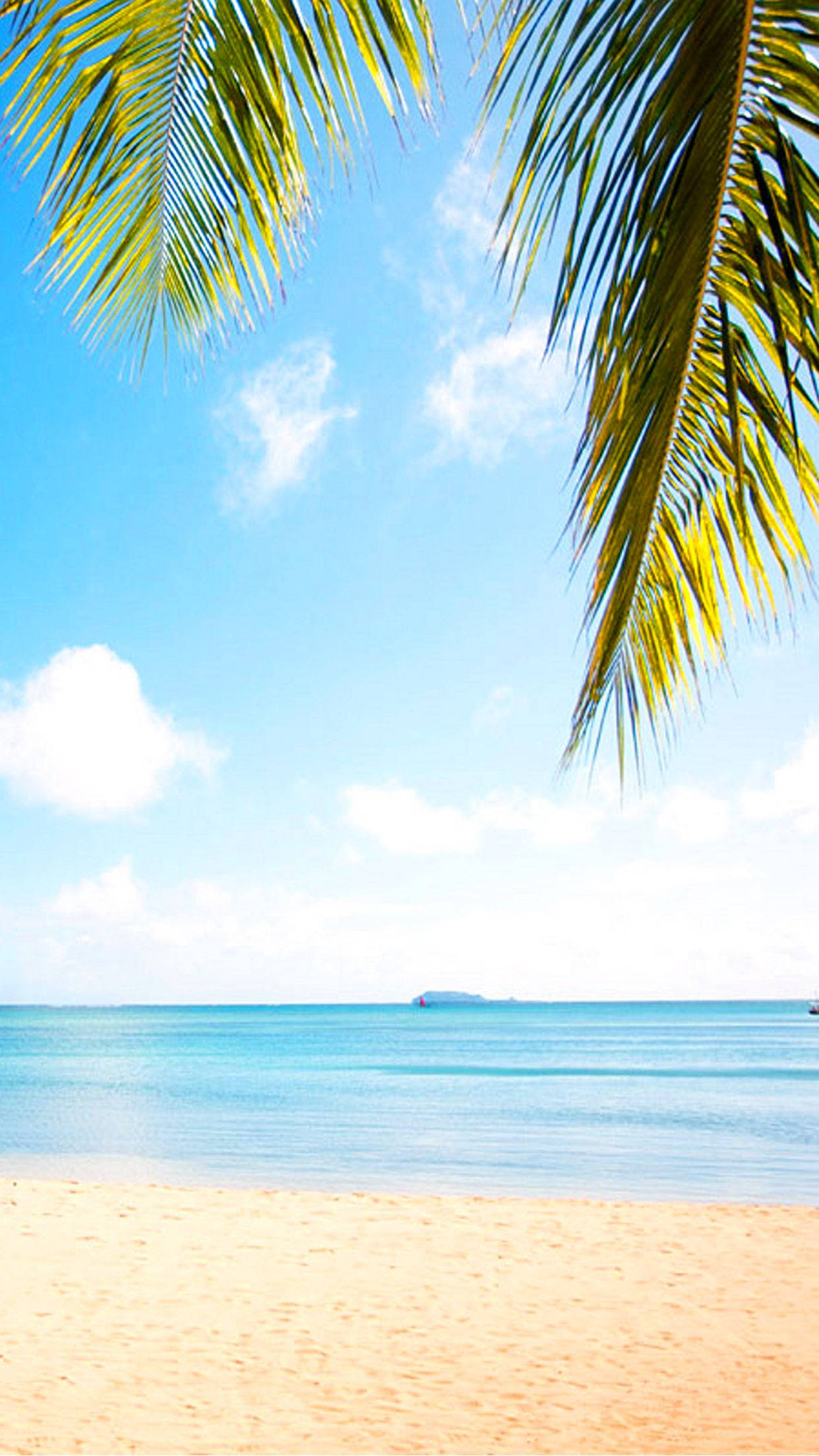 Mauritius 桌布 壁紙 — 棕櫚葉框住一片碧綠海洋，上方是明亮的藍天和蓬鬆的白雲。