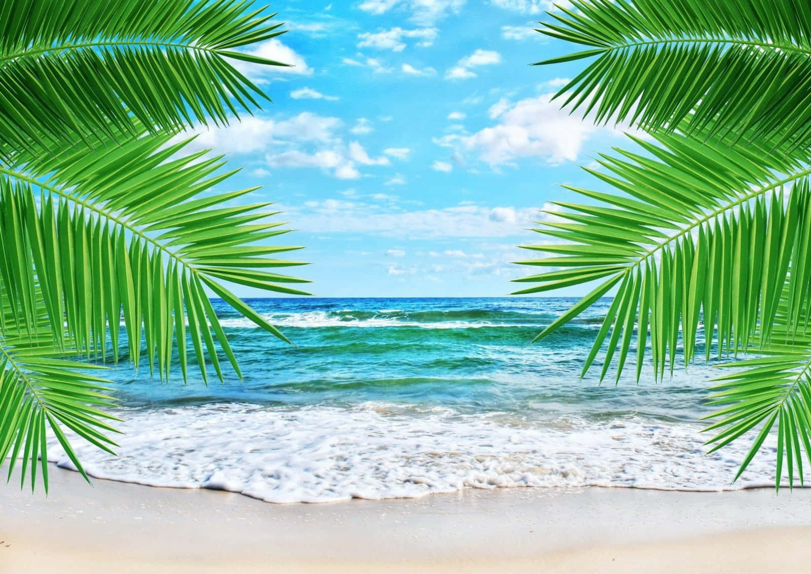 Beach Scene 桌布 壁紙 — 棕櫚葉框住一片碧綠海洋，白色泡沫在明亮的藍天下滾上沙灘。