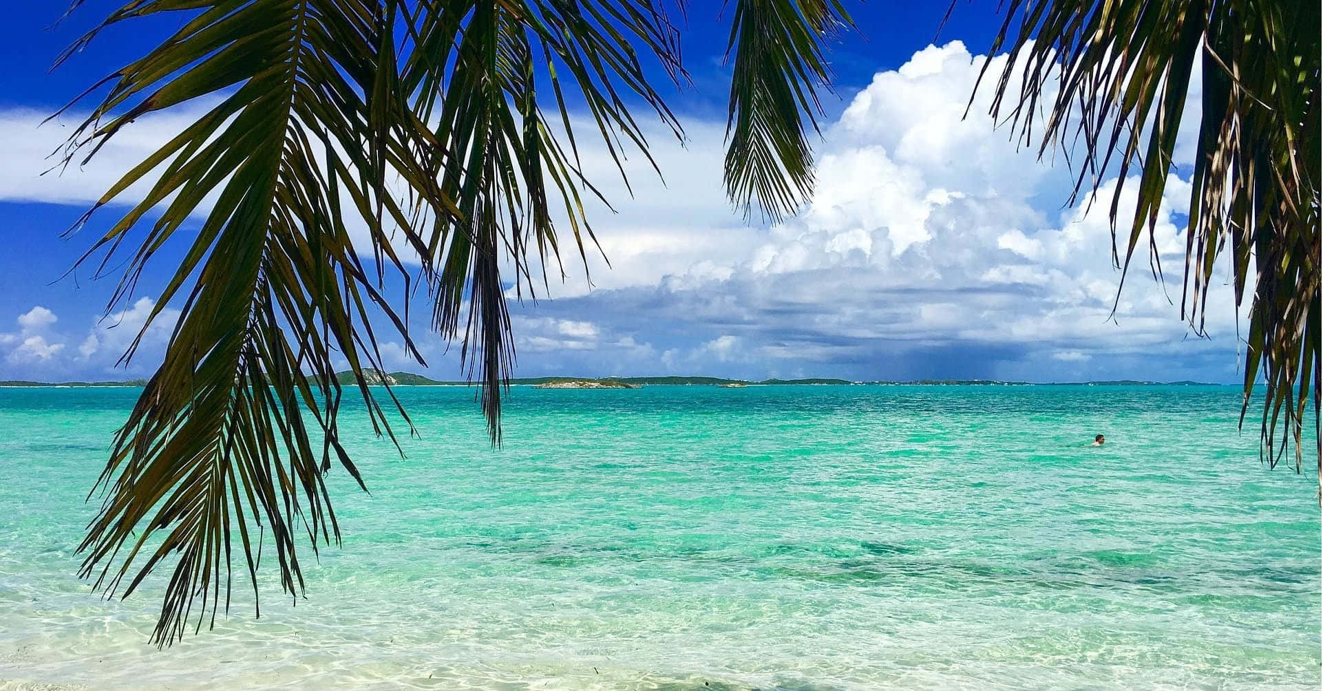Bahamas Beach 桌布 壁紙 — 棕櫚葉框住一片碧綠色的熱帶海灘，上方是晴朗的藍天和蓬鬆的白雲。