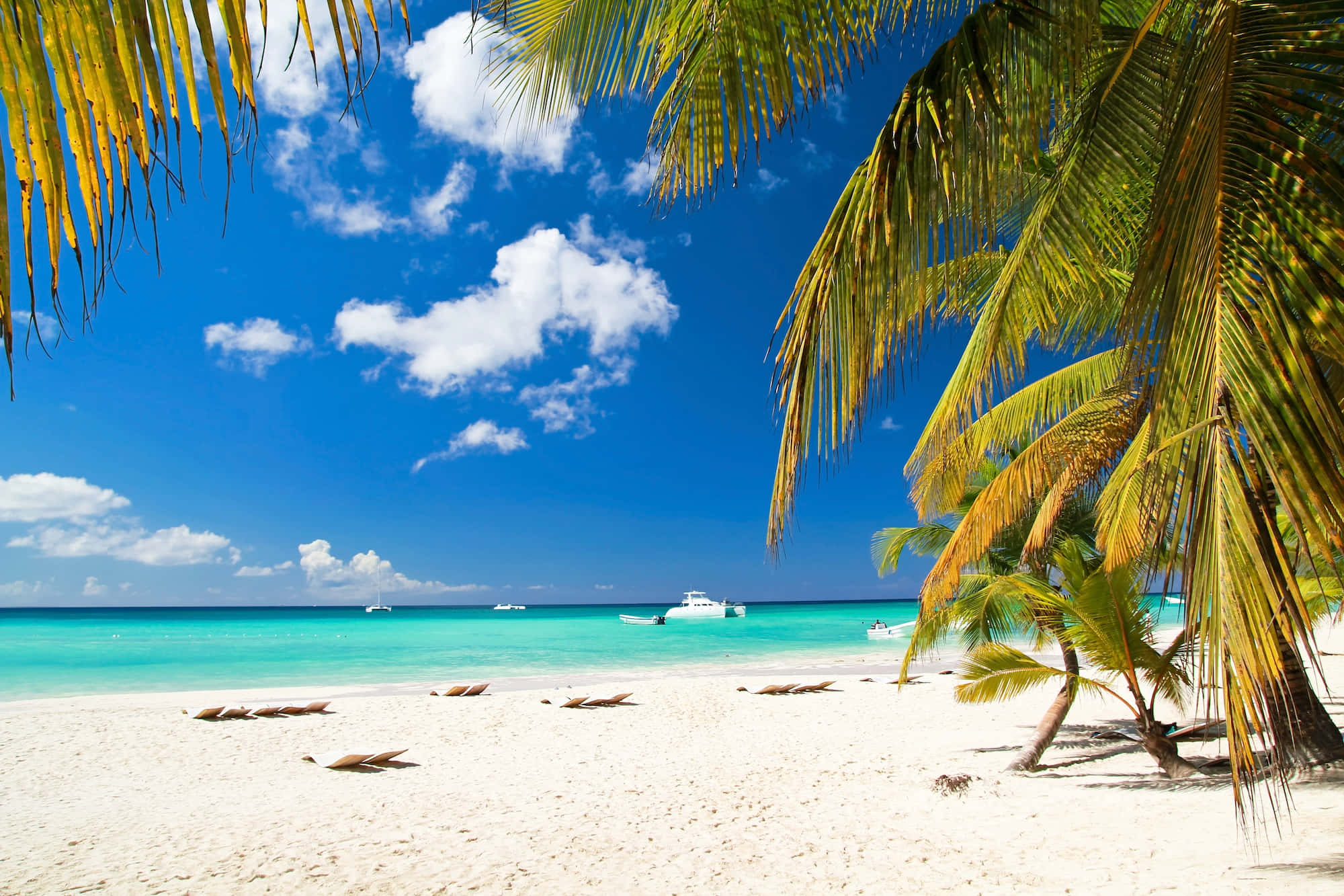 Beach Holiday 桌布 壁紙 — 棕櫚葉框住一片純淨的白色沙灘，碧綠的海水和散落的船隻，在明亮的藍天下。