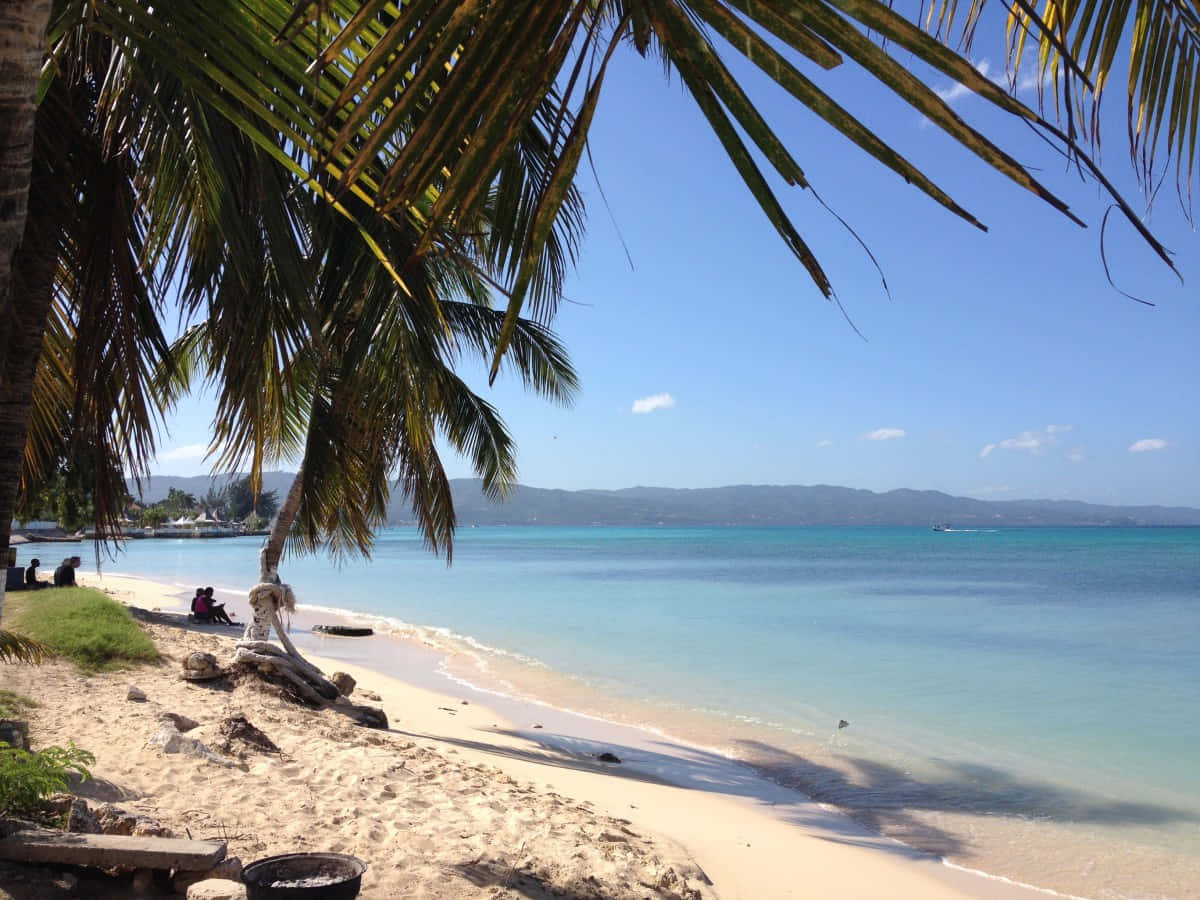 Jamaican Island 桌布 壁紙 — 棕櫚葉框著一個寧靜的熱帶海灘，清澈藍天下有碧綠的海水和遠山。