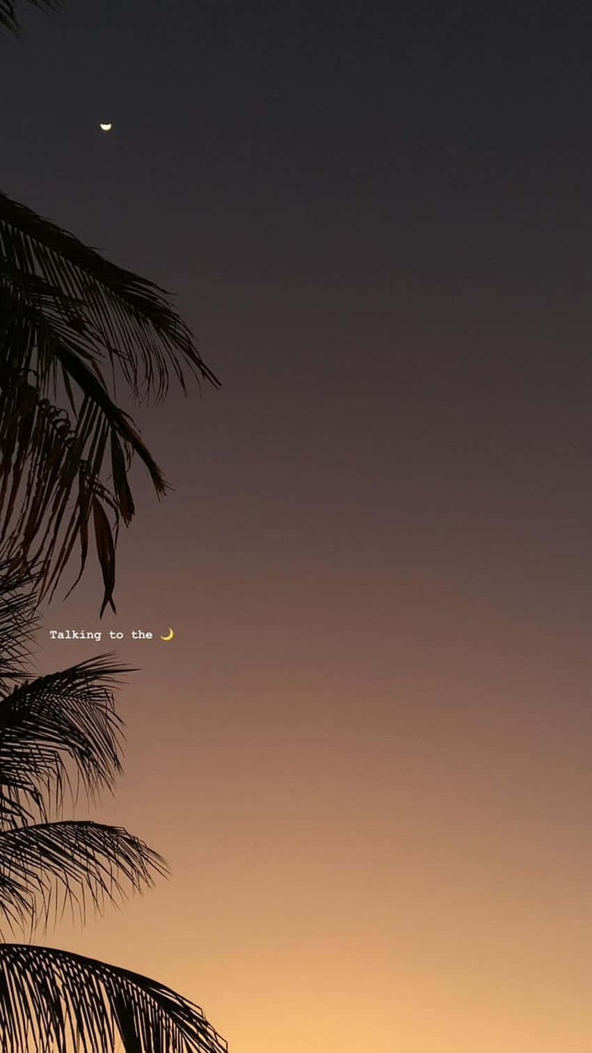 Sad Tumblr 桌布 壁紙 — 棕櫚葉的剪影框住了一彎新月，背景是從深紫色漸變到暖橙色的暮色天空。