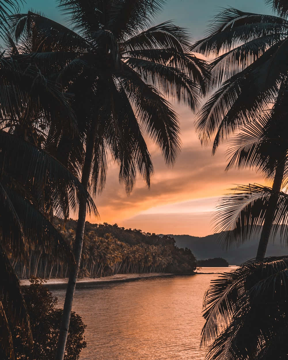海灘 桌布 壁紙 — 棕櫚葉的剪影框住了一條寧靜的河流，在夕陽的色調中閃耀，背景是遠處的森林山丘。