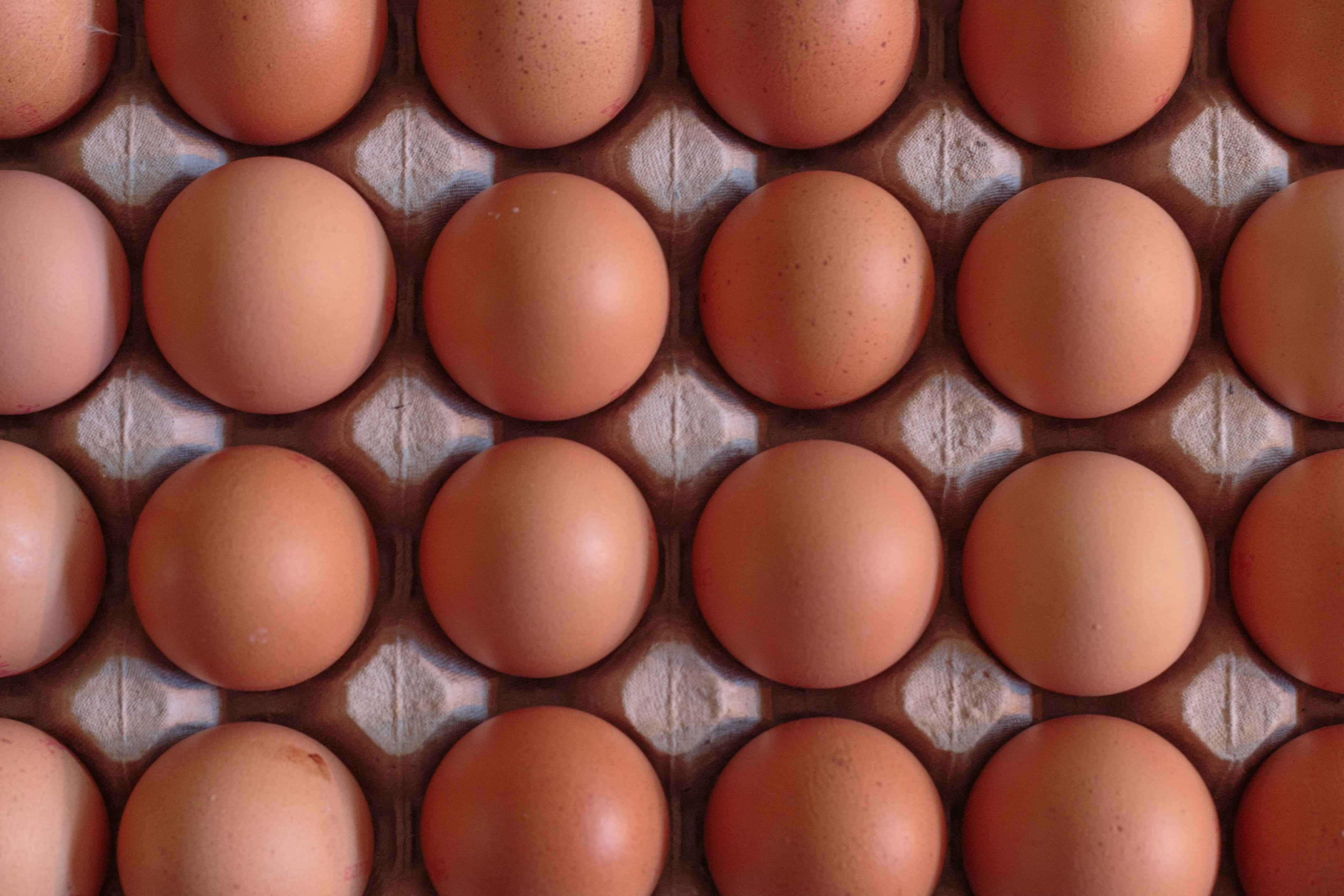 Brown Eggs 桌布 壁紙 — 棕色雞蛋整齊排列在紙板盒中的特寫，可見紋理和天然斑點。